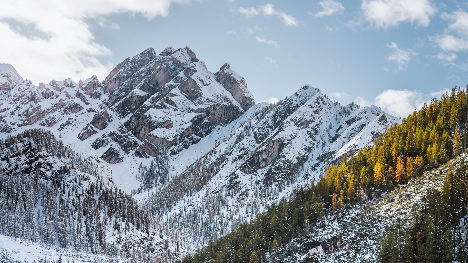 Snow-covered mountains with autumn trees HD Wallpaper