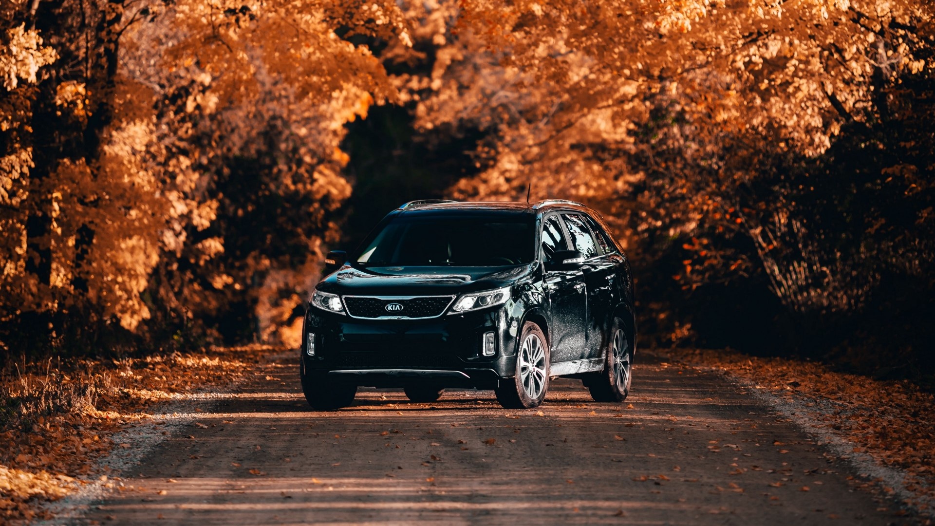 Black Kia Sorento on a road in autumn HD Wallpaper