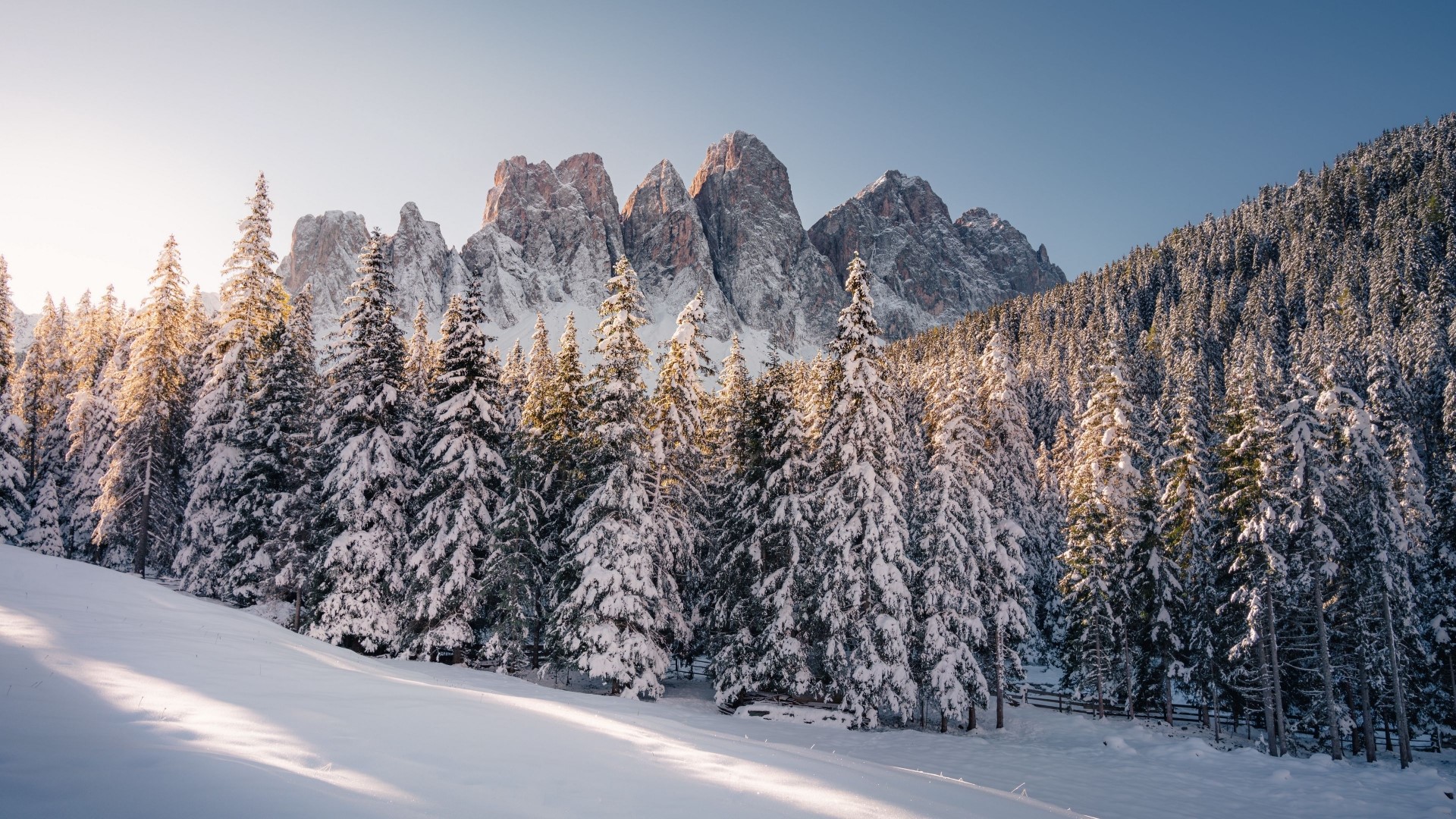 Snowy pine forest with jagged mountains HD Wallpaper