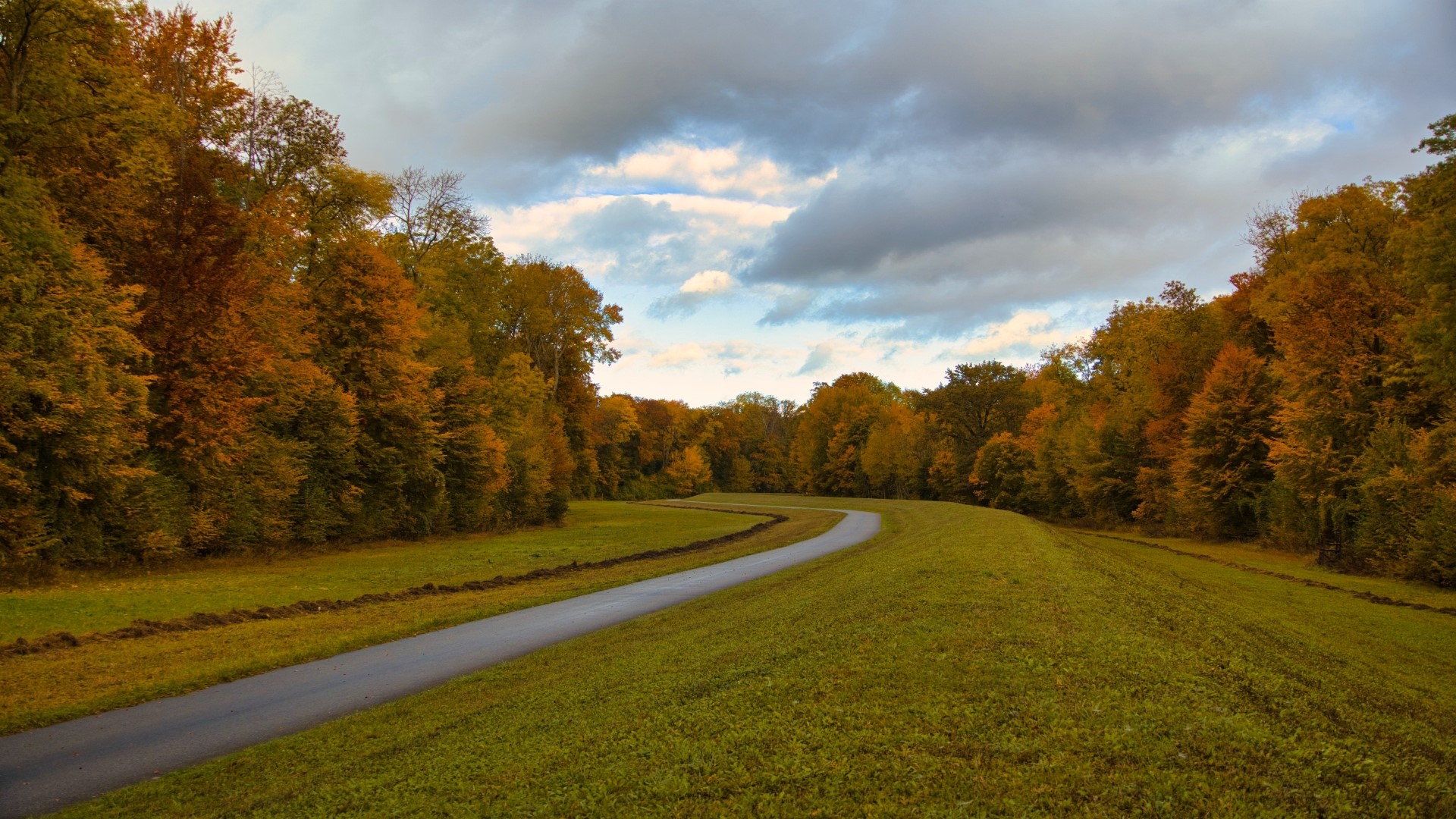 Curving road through autumn forest under cloudy sky HD Wallpaper