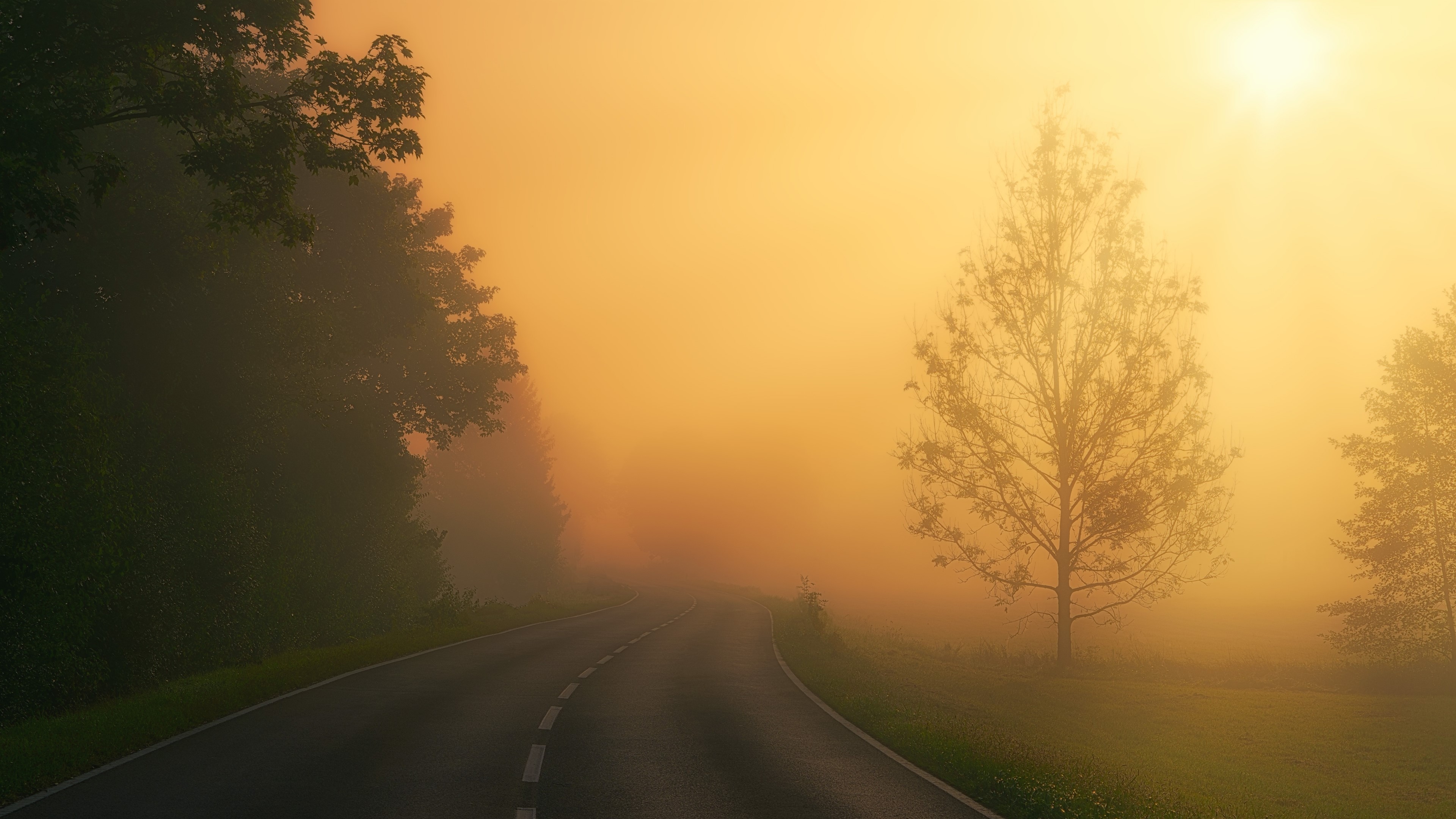 Road in Fog with Sun HD Wallpaper