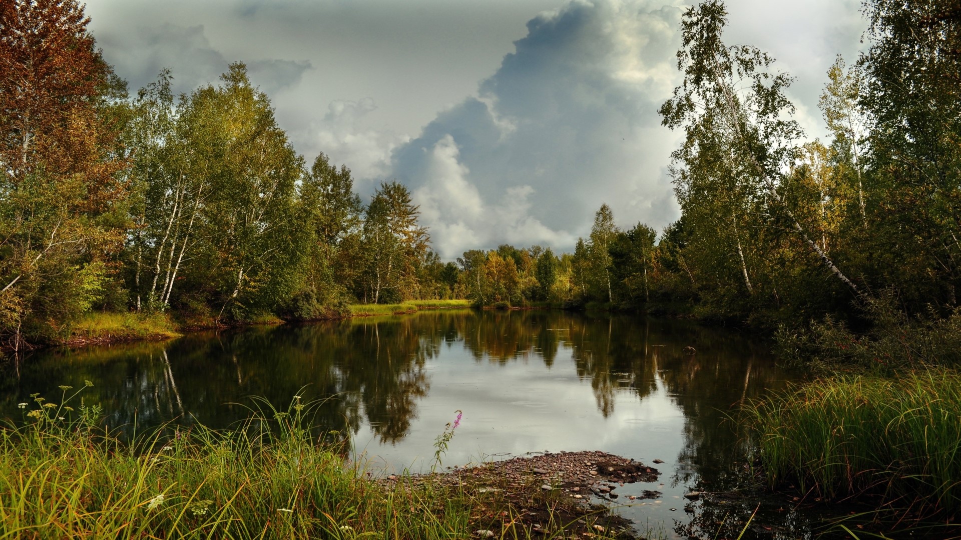 Lake surrounded by trees under cloudy sky HD Wallpaper