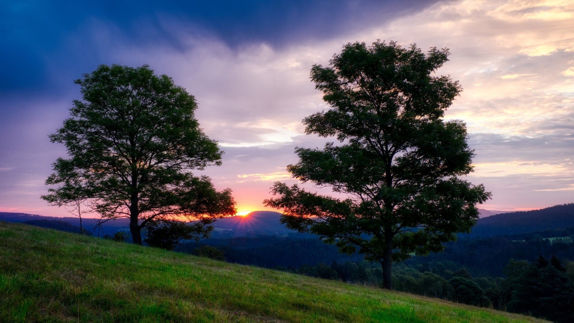 Sunset over rolling hills with two trees HD Wallpaper