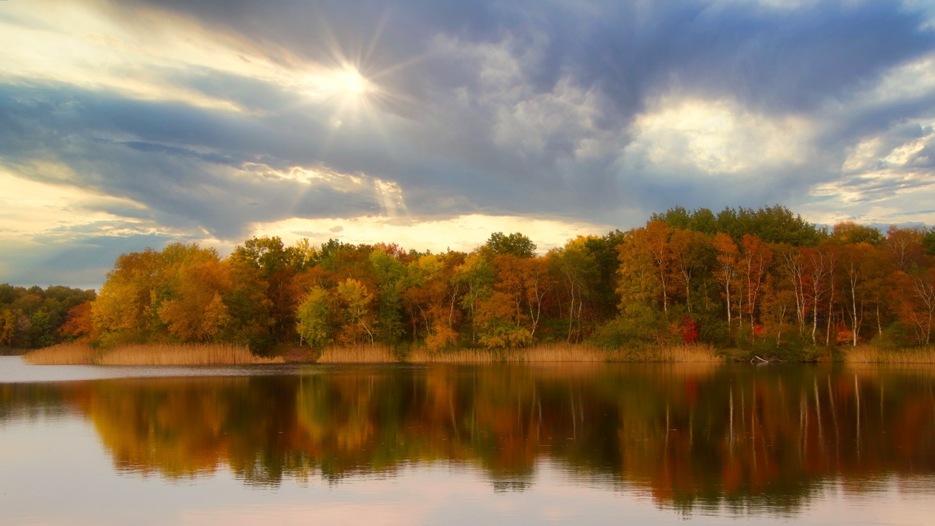 Autumn forest reflected in a lake under cloudy sky HD Wallpaper