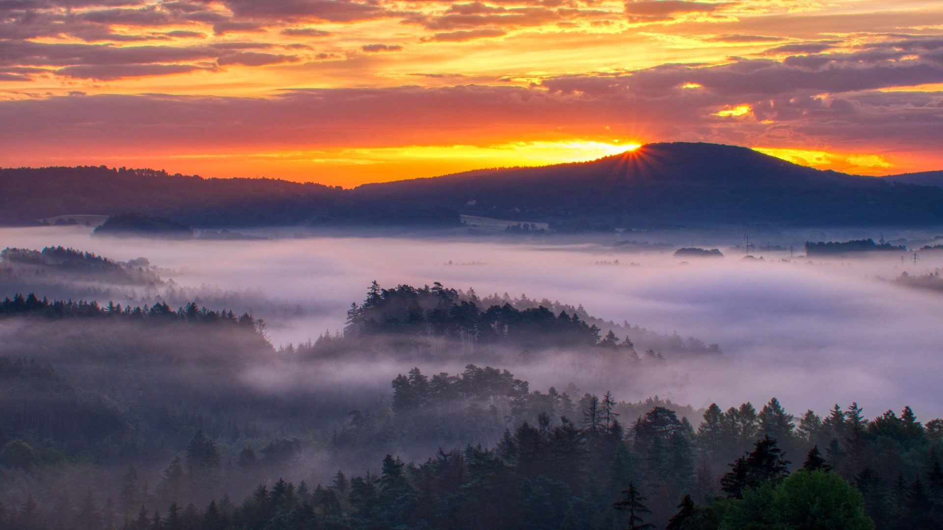 Sunrise over foggy forest hills HD Wallpaper