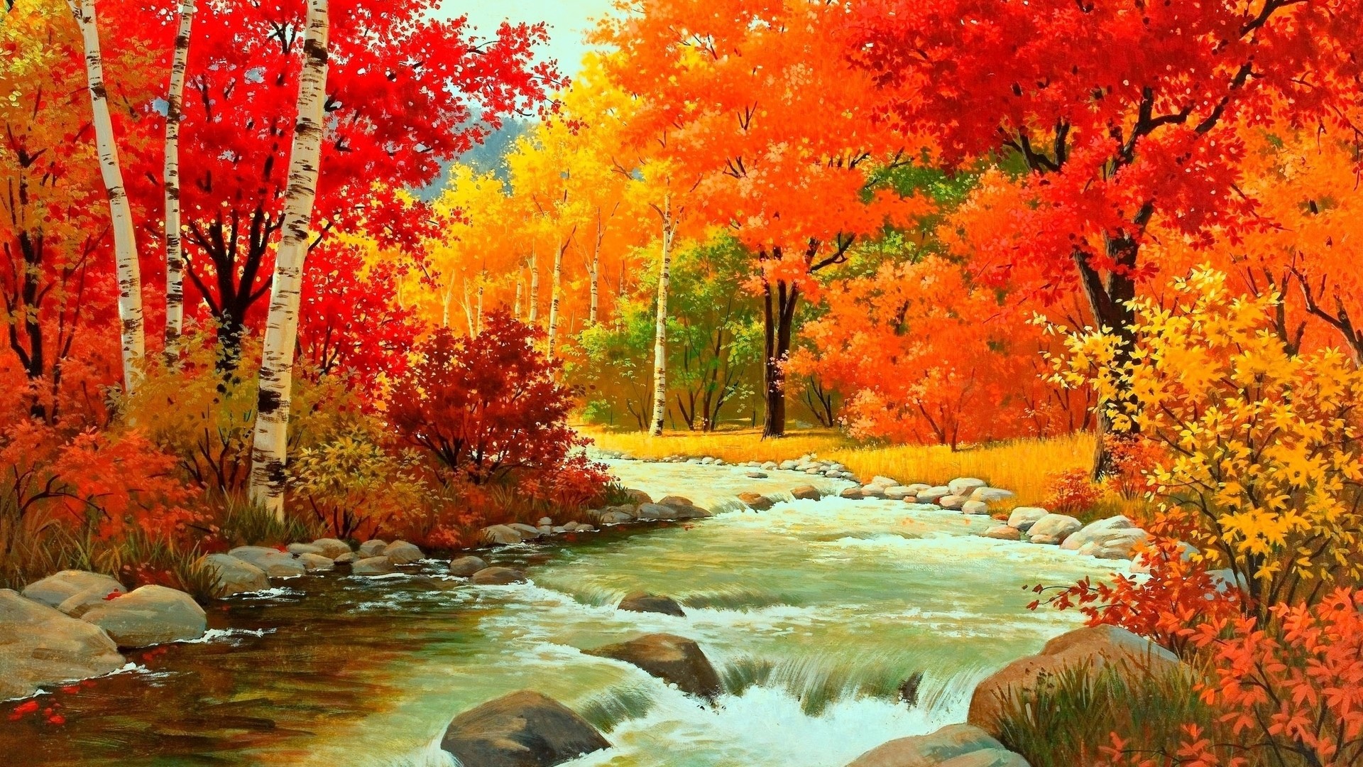 Autumn forest with a flowing river HD Wallpaper