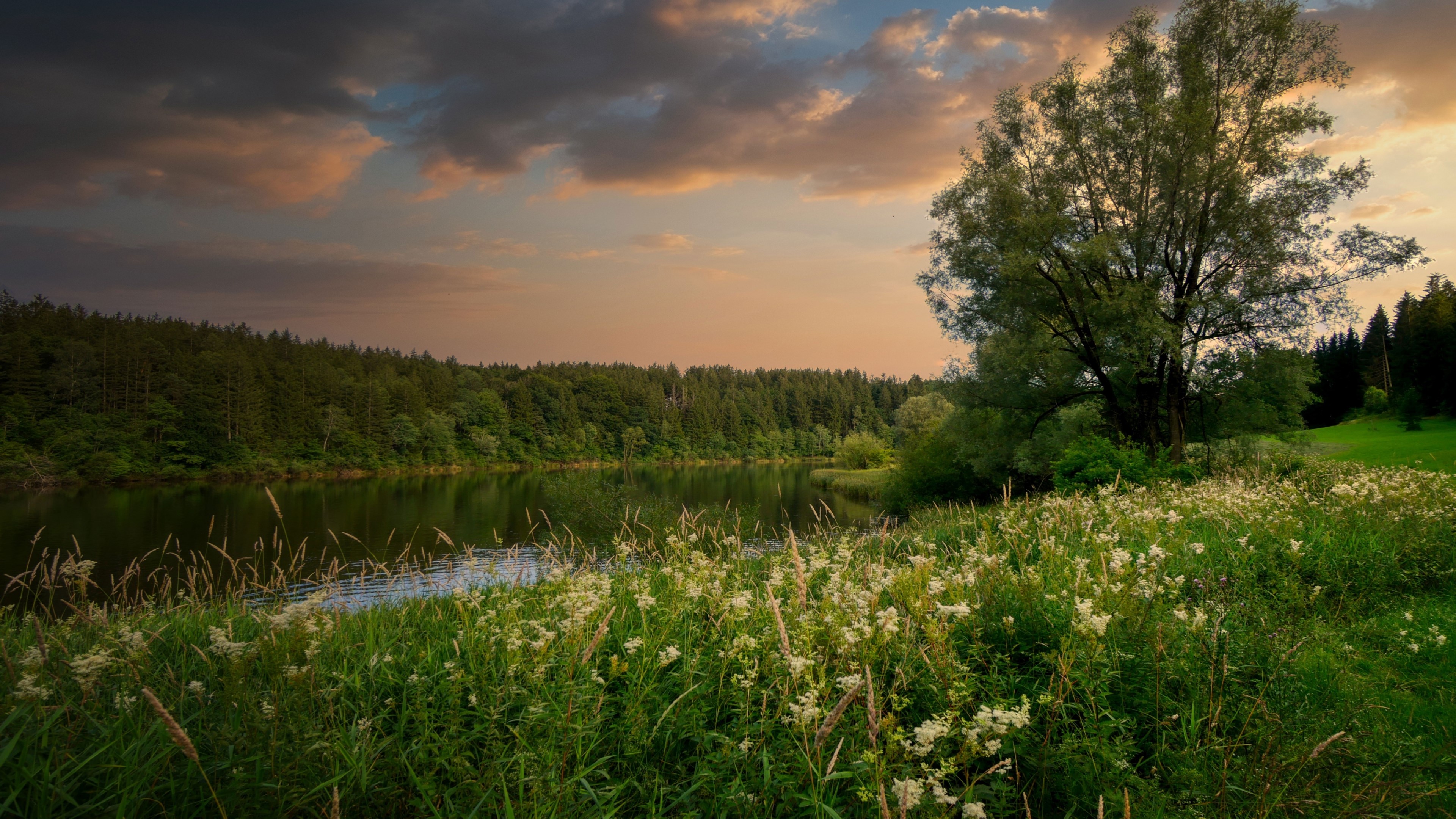 4K Nature Landscape with Lake and Trees HD Wallpaper