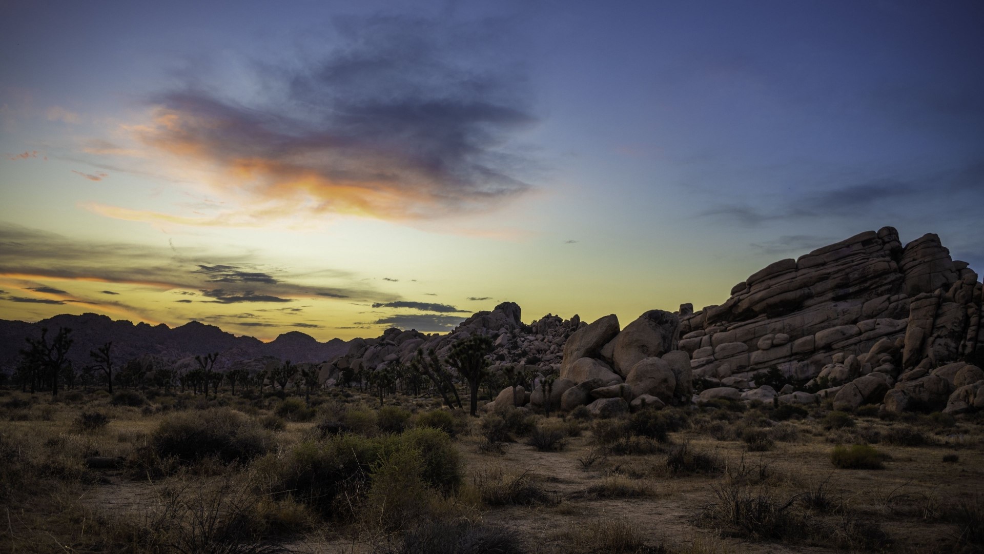 Sunset over Joshua Tree National Park HD Wallpaper