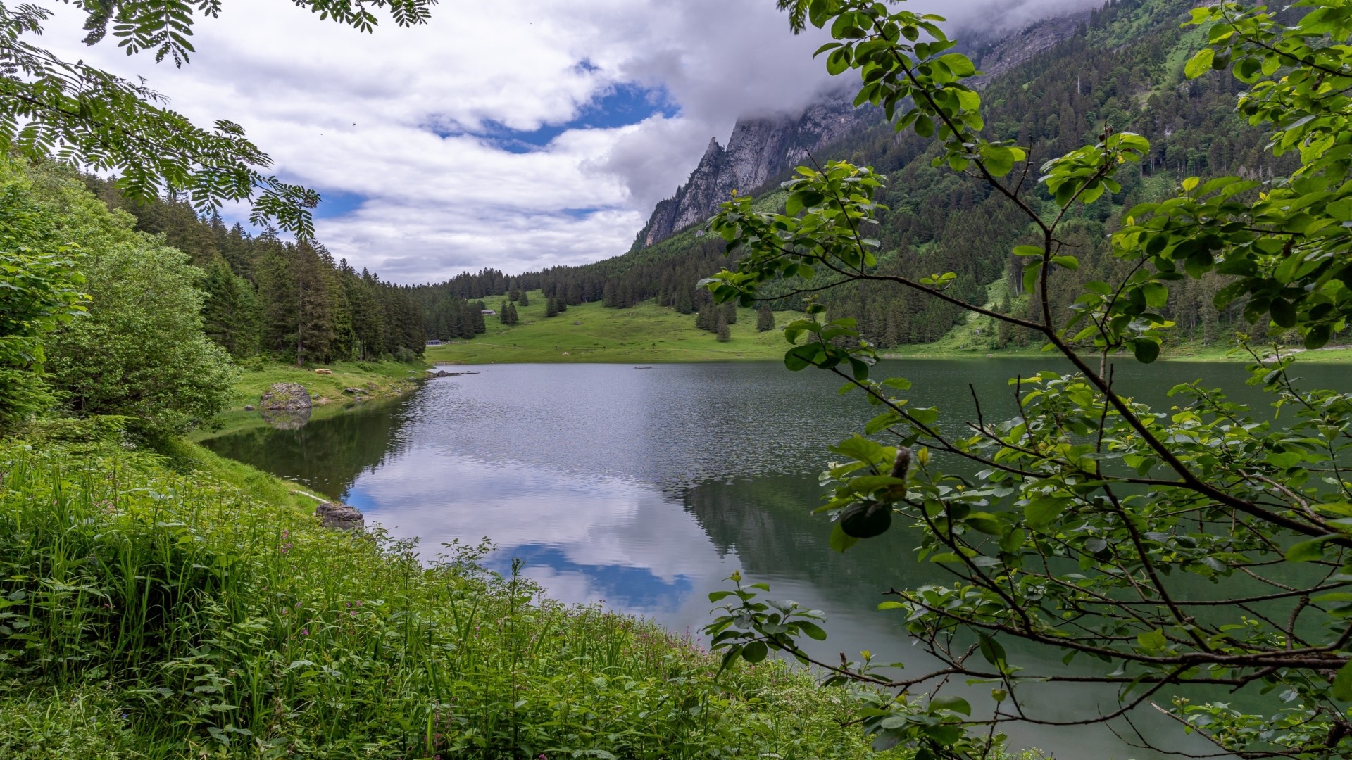 Lake and Mountains with Forest and Greenery HD Wallpaper
