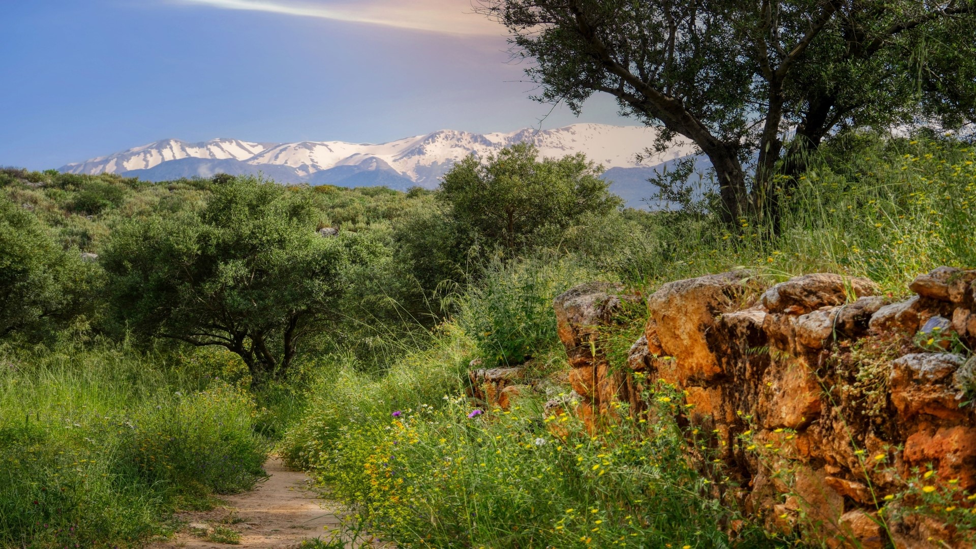 Dirt path through green landscape with snow-capped mountains HD Wallpaper