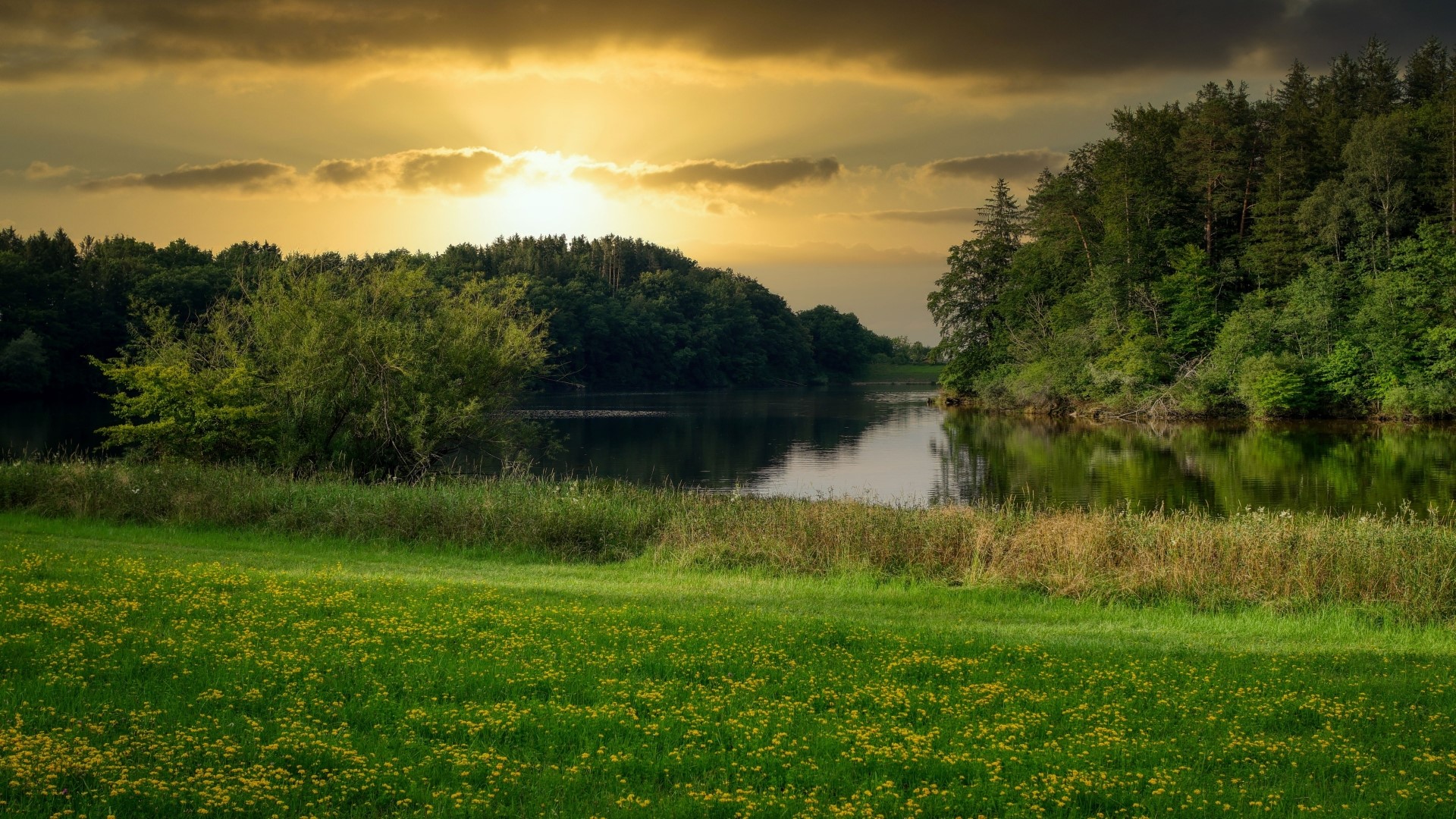Lake surrounded by trees at sunset HD Wallpaper