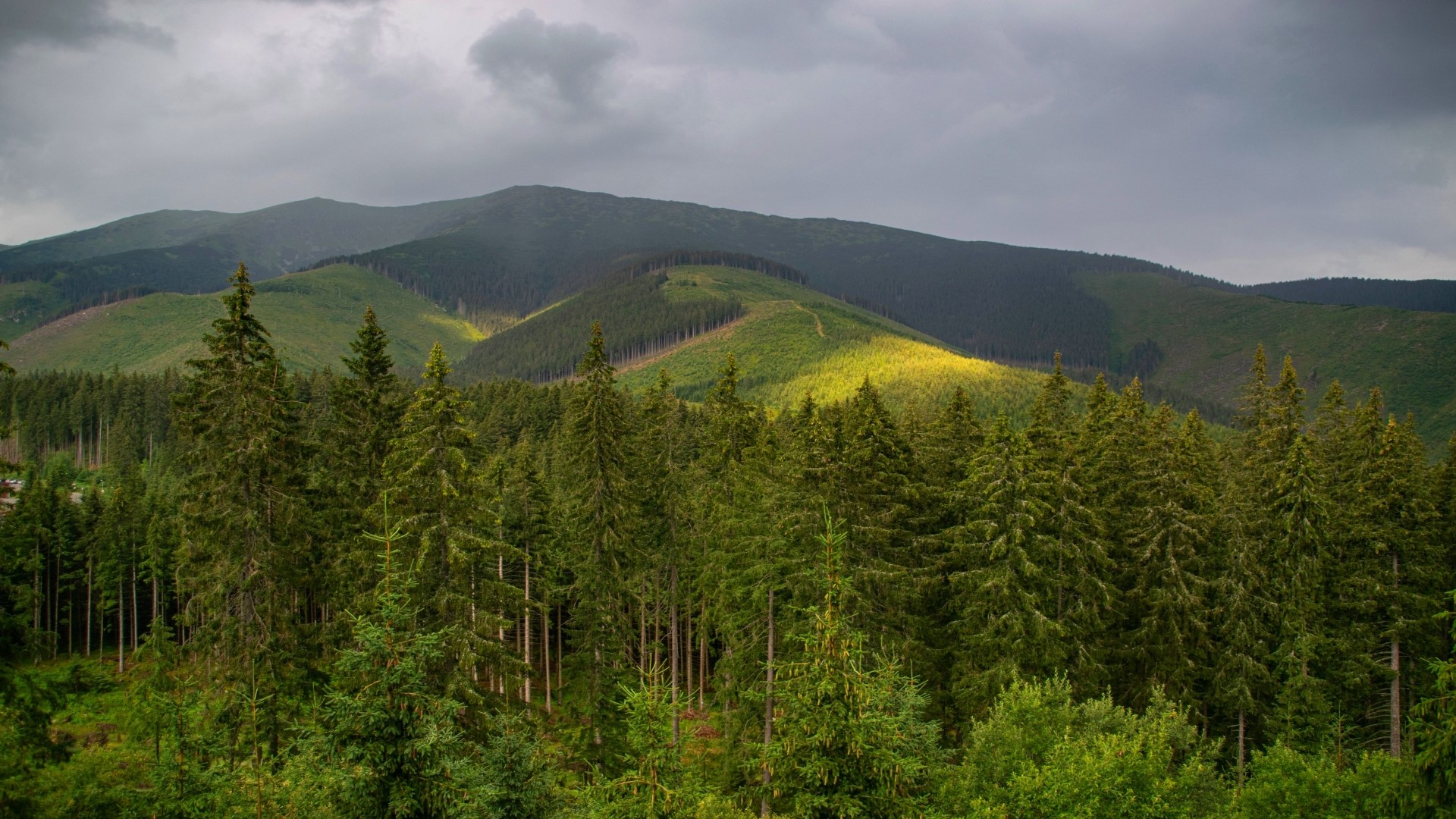 Forest and Mountains Under Cloudy Sky HD Wallpaper
