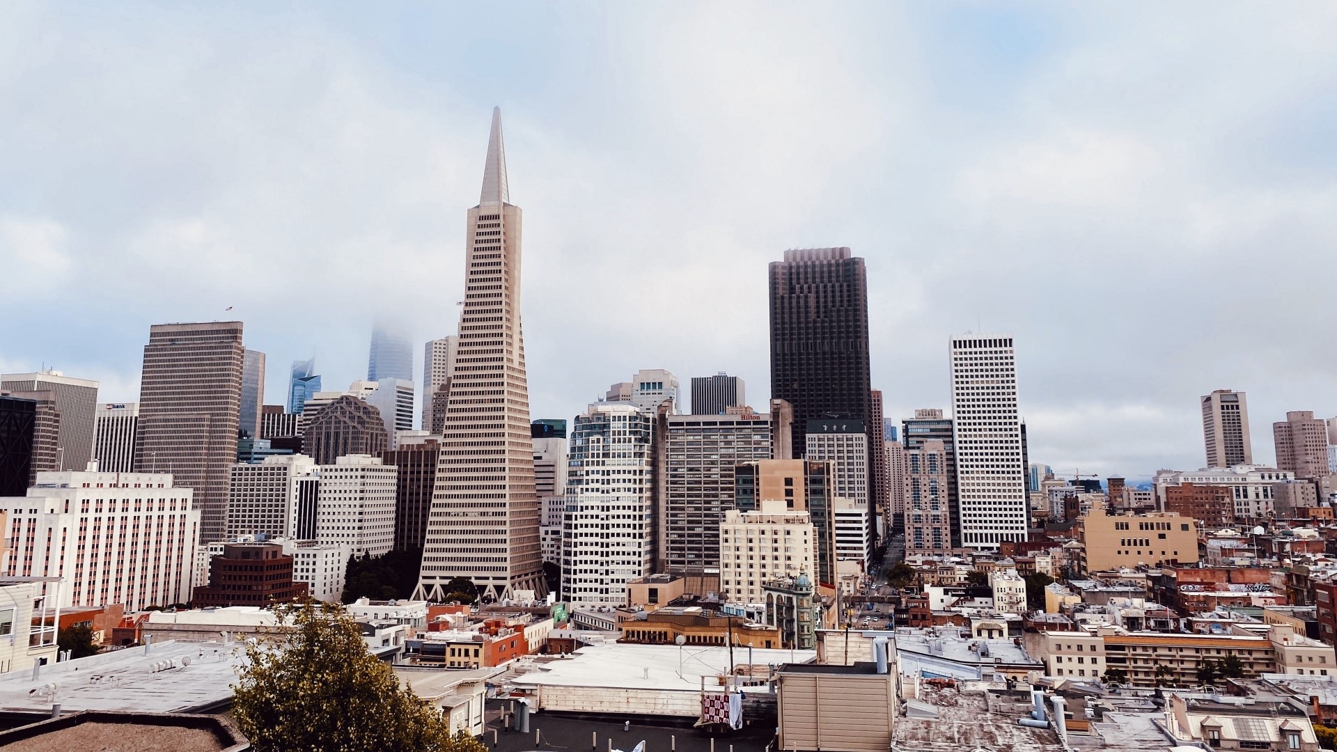 San Francisco skyline with Transamerica Pyramid HD Wallpaper