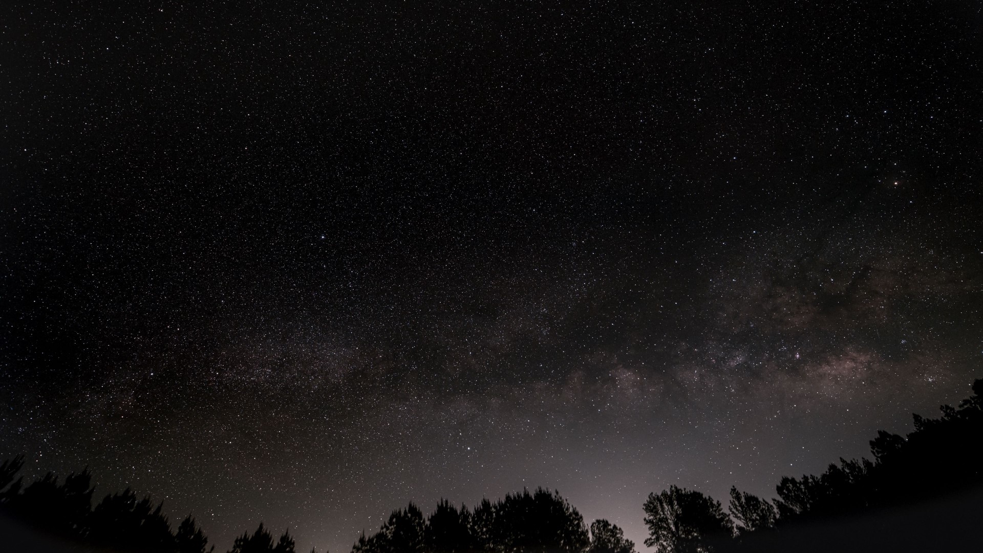 Starry night sky over silhouetted trees HD Wallpaper