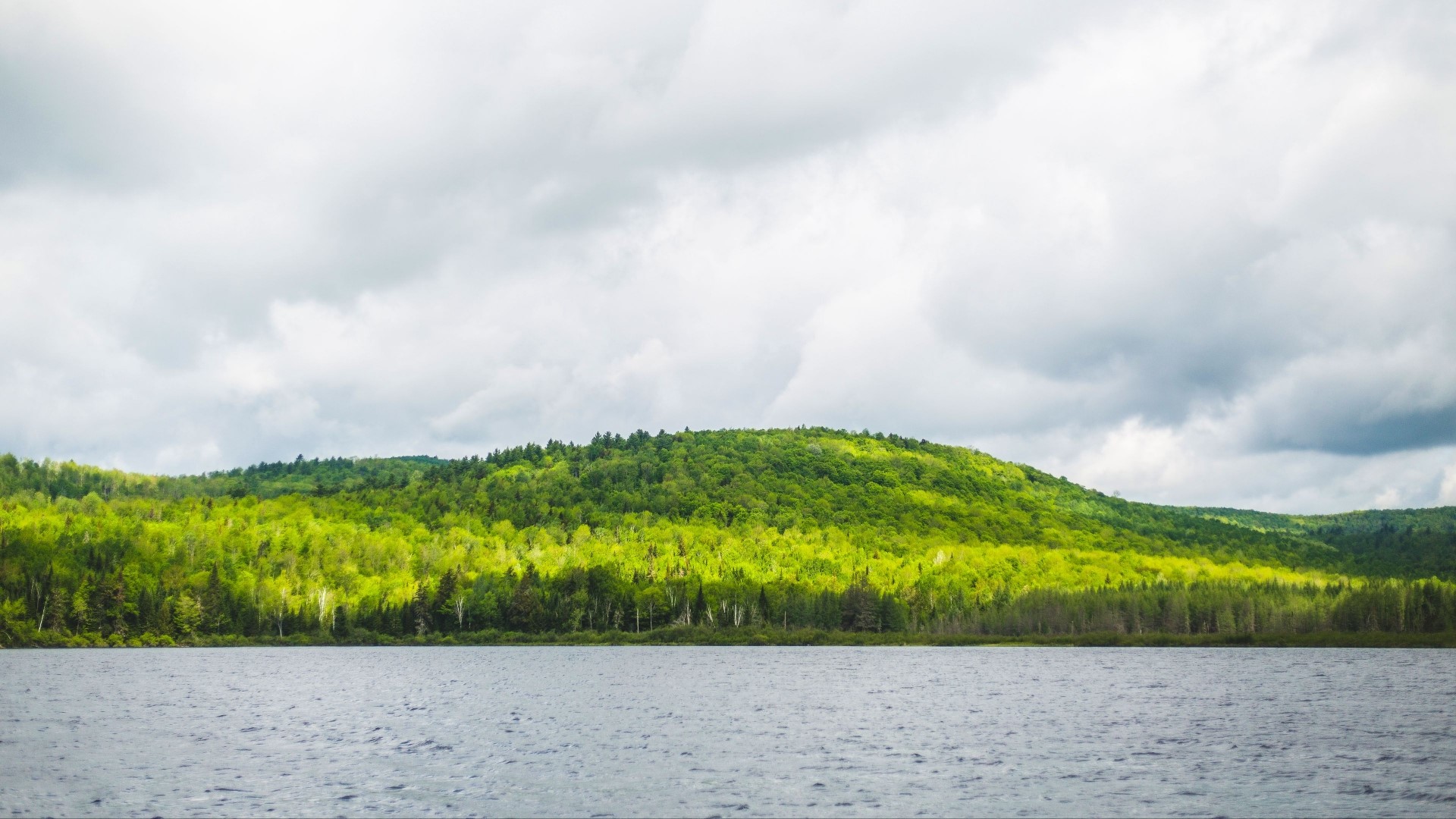 Green forested hill overlooking a lake under cloudy sky HD Wallpaper