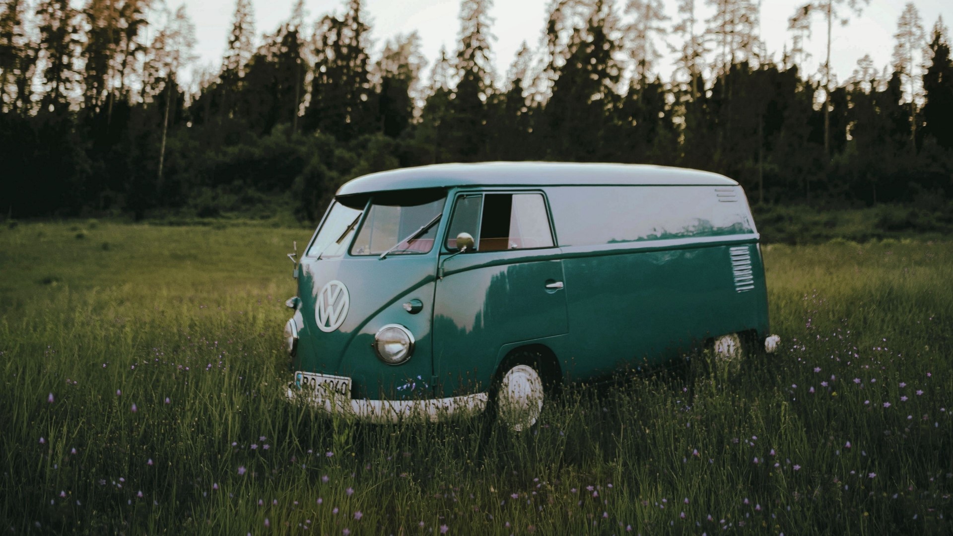 Green Volkswagen T1 van in a grassy field HD Wallpaper