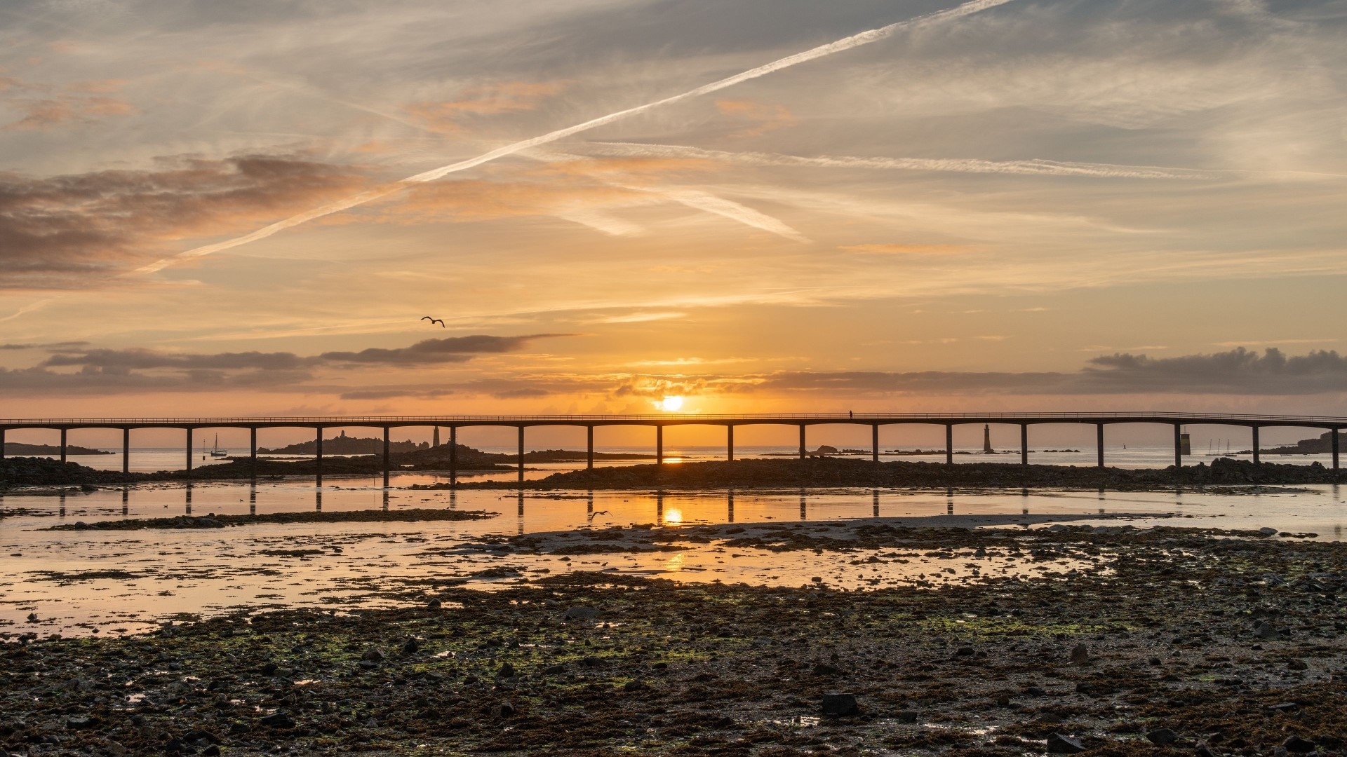 Bridge over water at sunset with birds HD Wallpaper