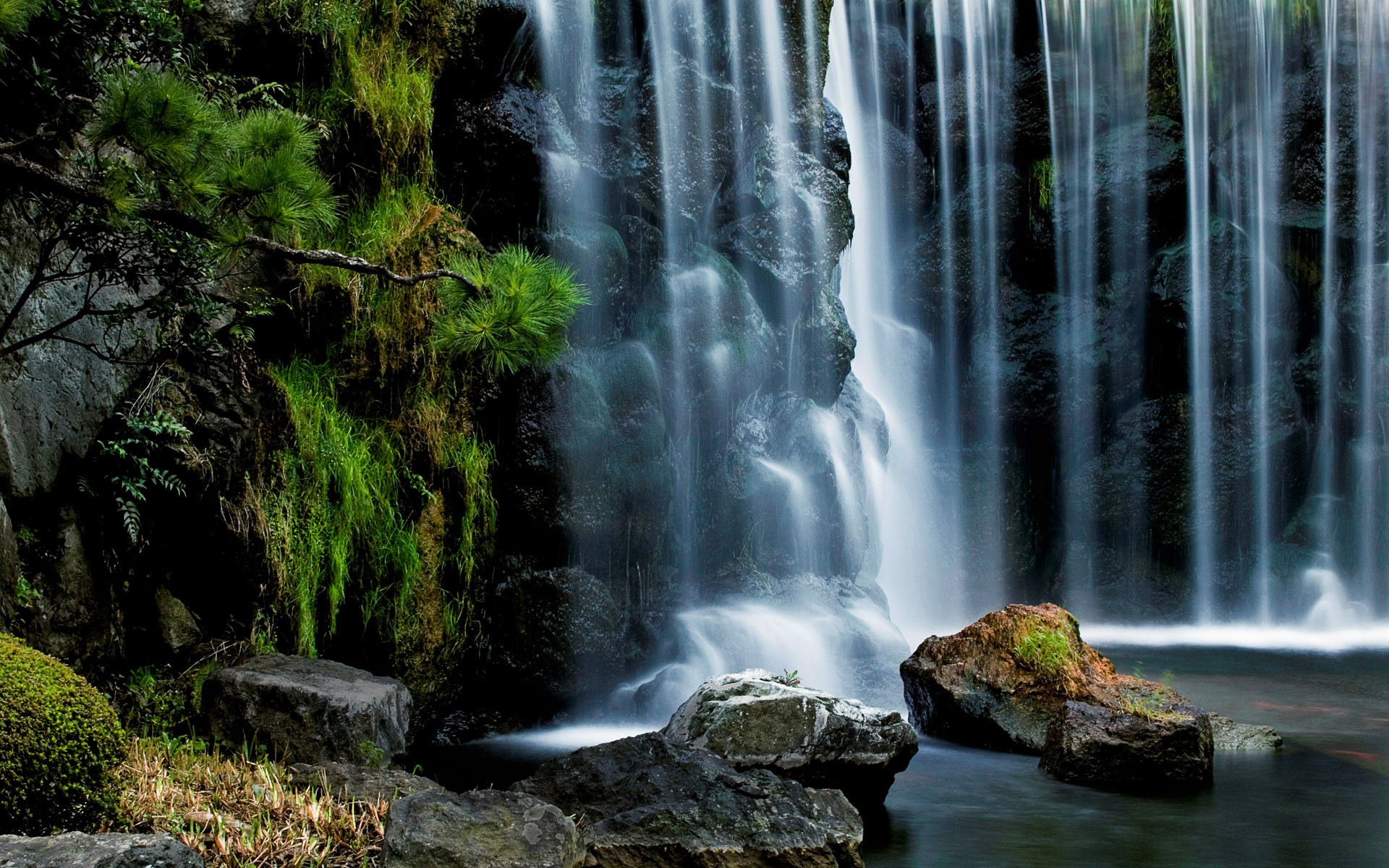 Waterfall cascading over mossy rocks in a forest HD Wallpaper