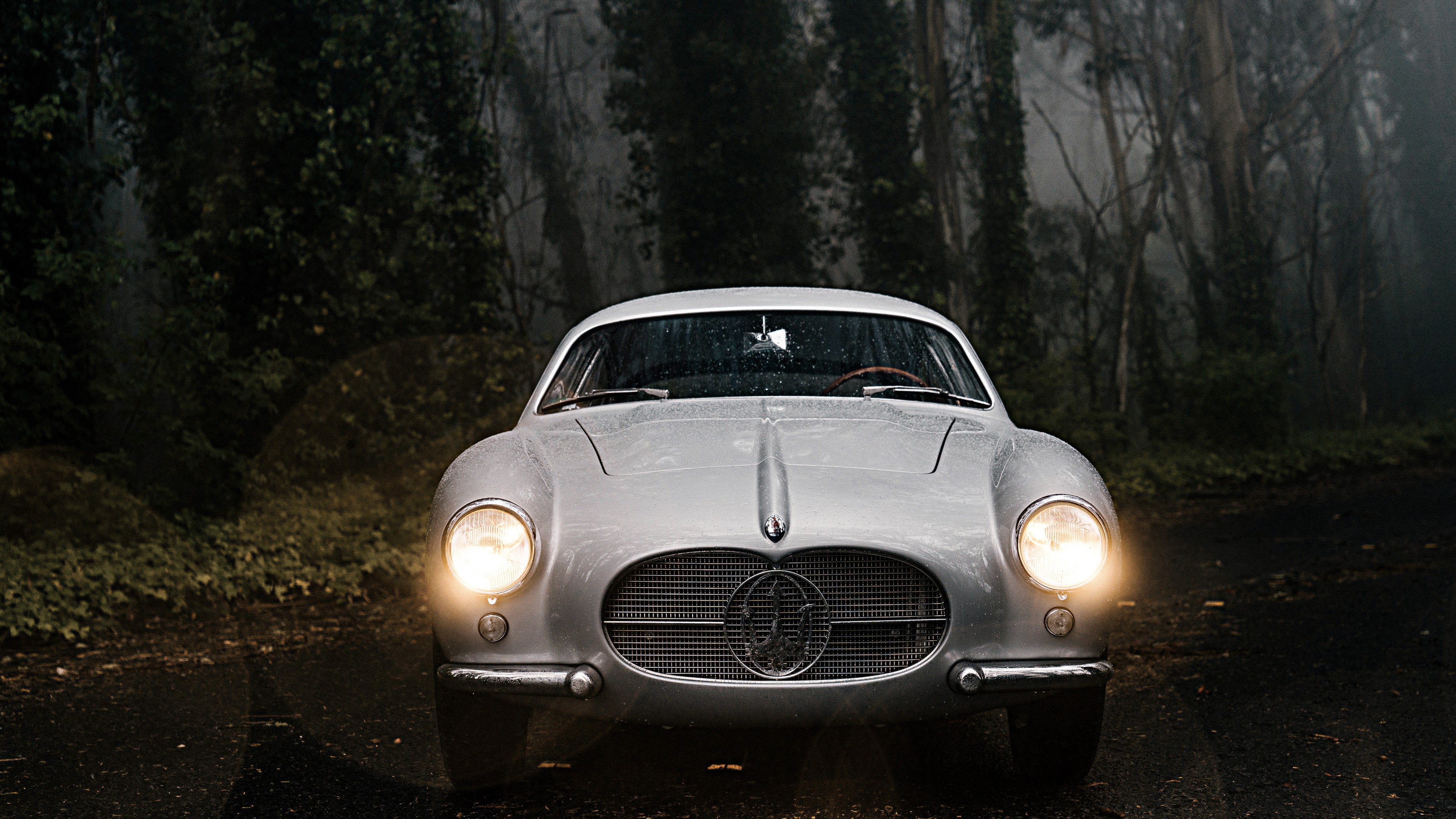 4K 1956 car in a forest HD Wallpaper