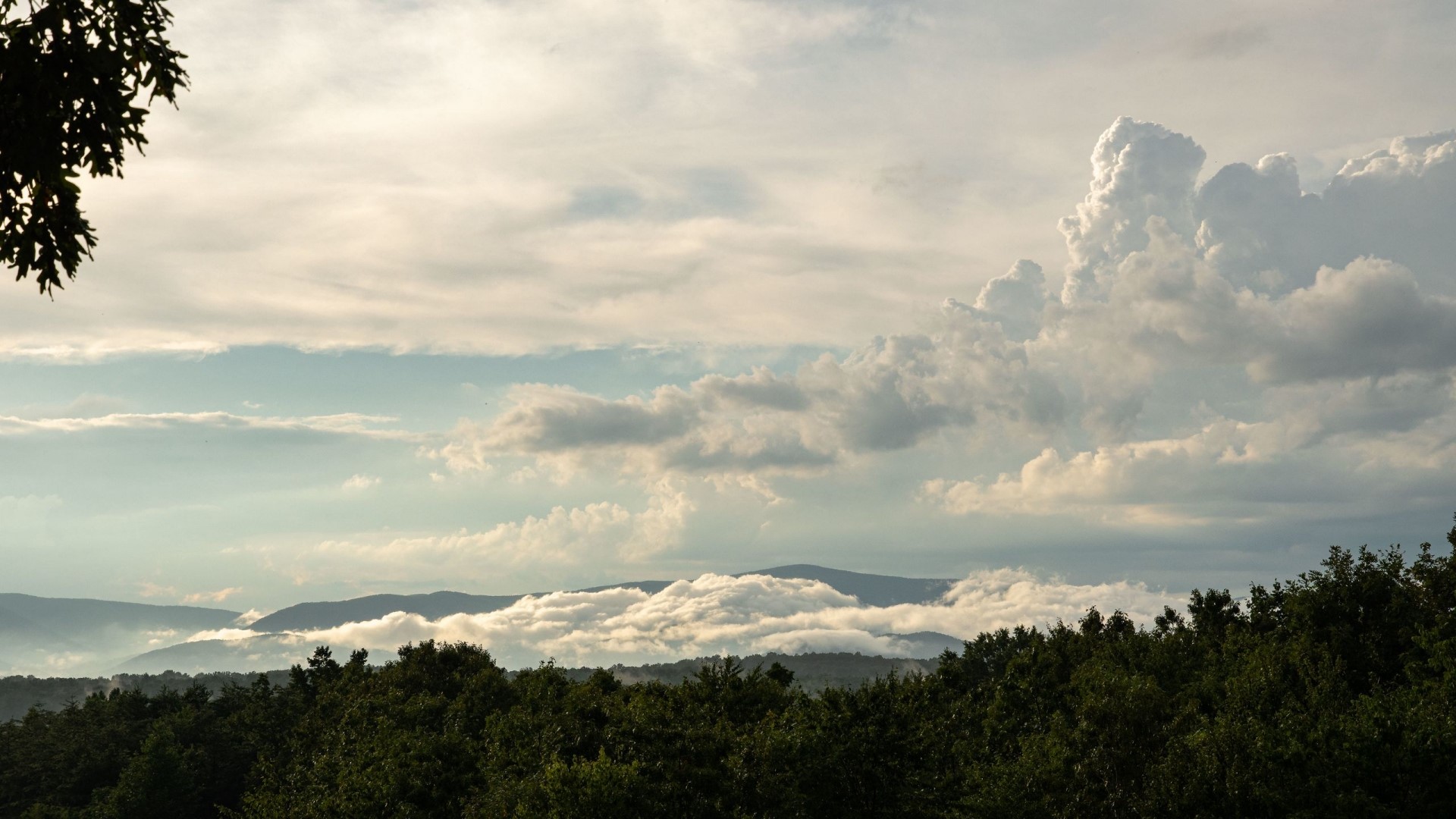 Clouds over mountains and forest HD Wallpaper