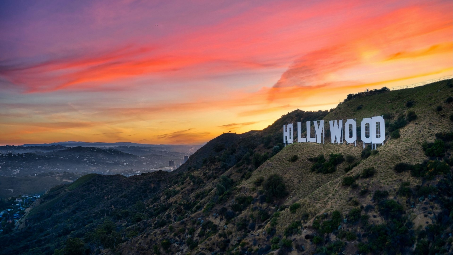 Hollywood Sign at Sunset HD Wallpaper