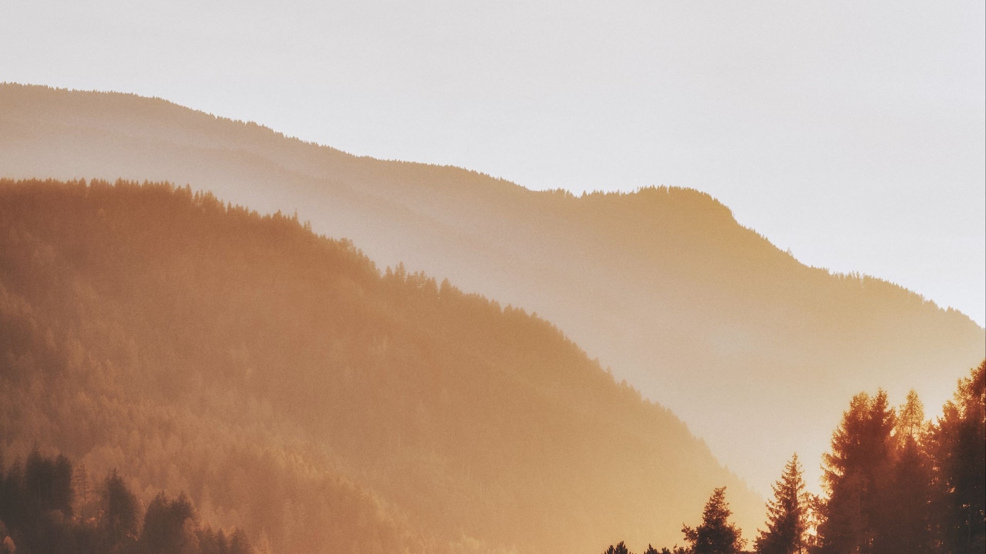 Hills with trees at sunset HD Wallpaper