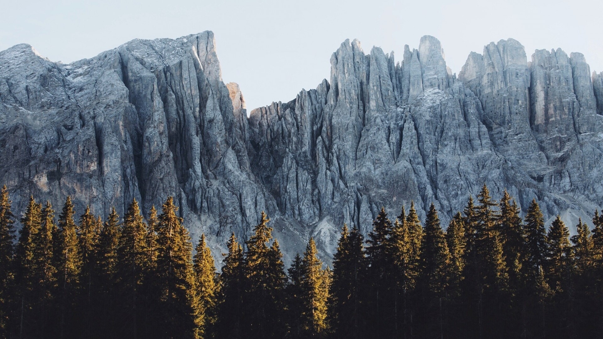 Jagged mountain range above a pine forest HD Wallpaper