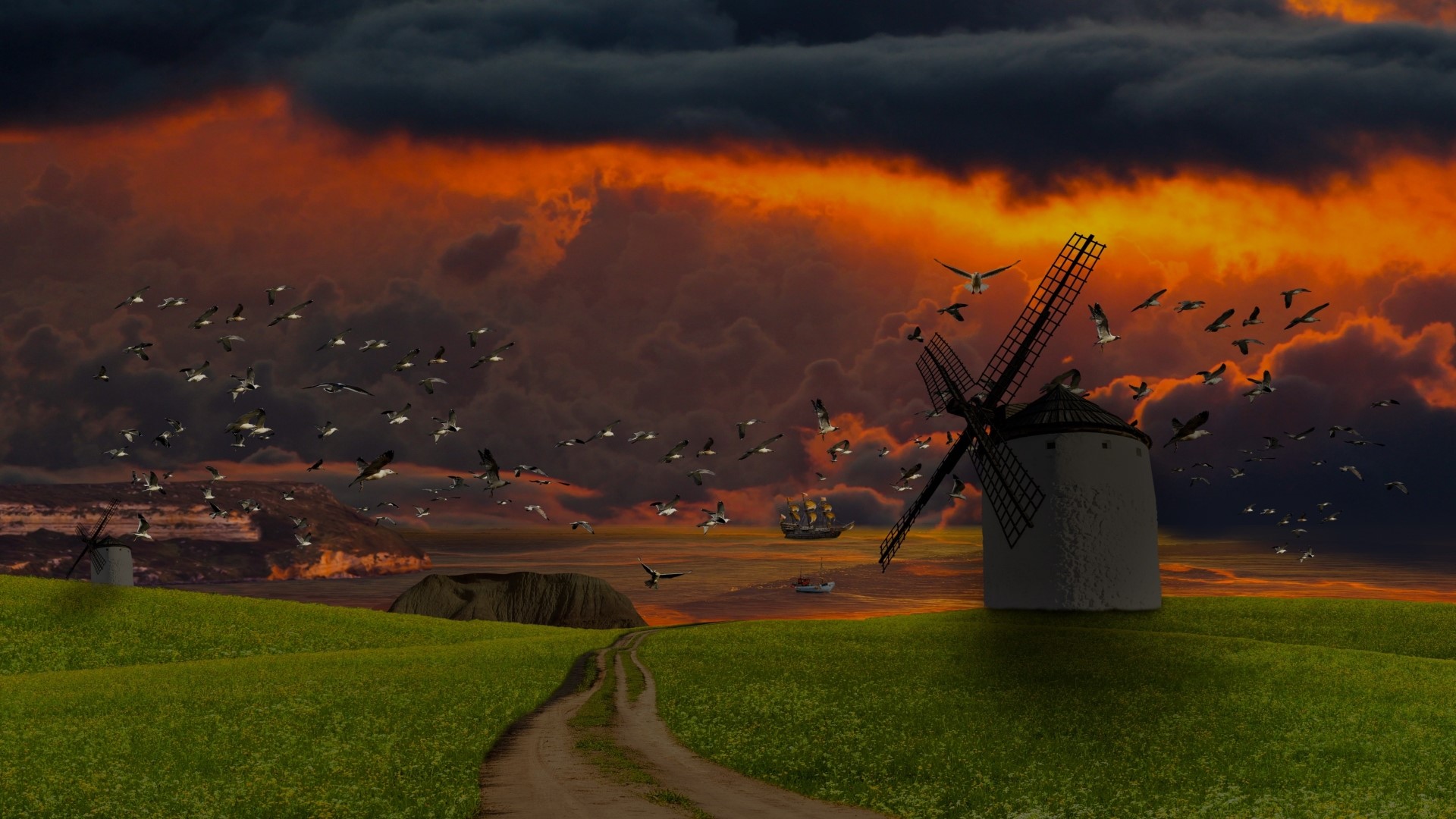 Sunset over a field with windmills and birds HD Wallpaper