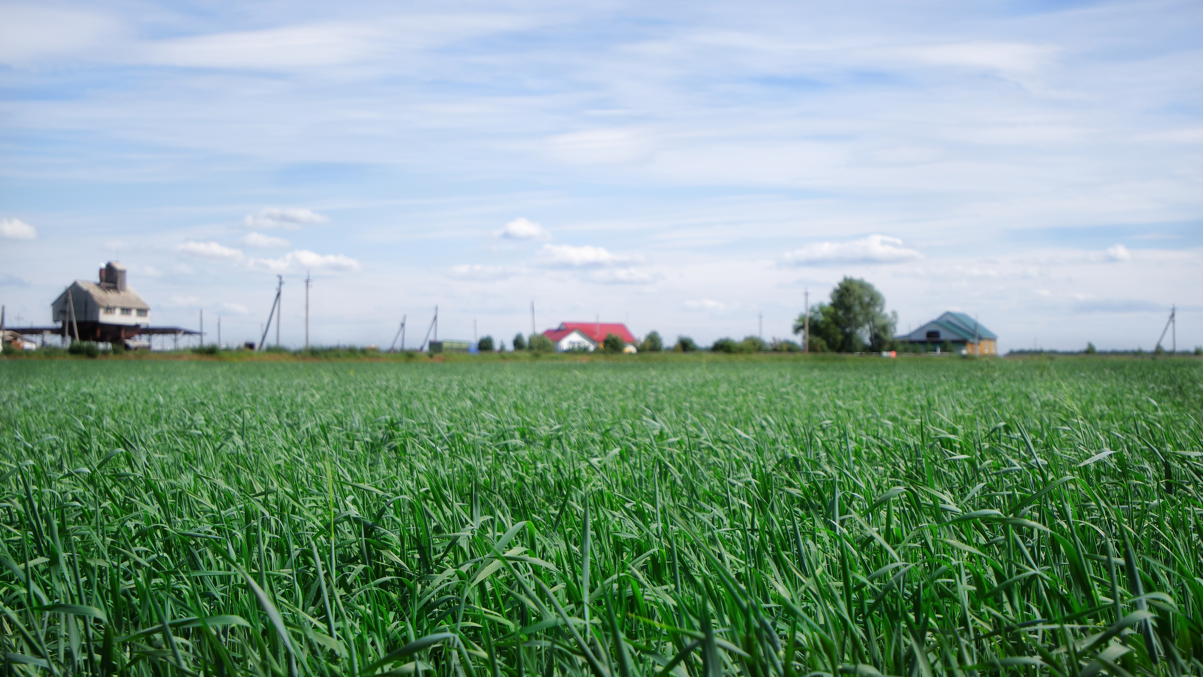 4K Field with Houses and Sky HD Wallpaper