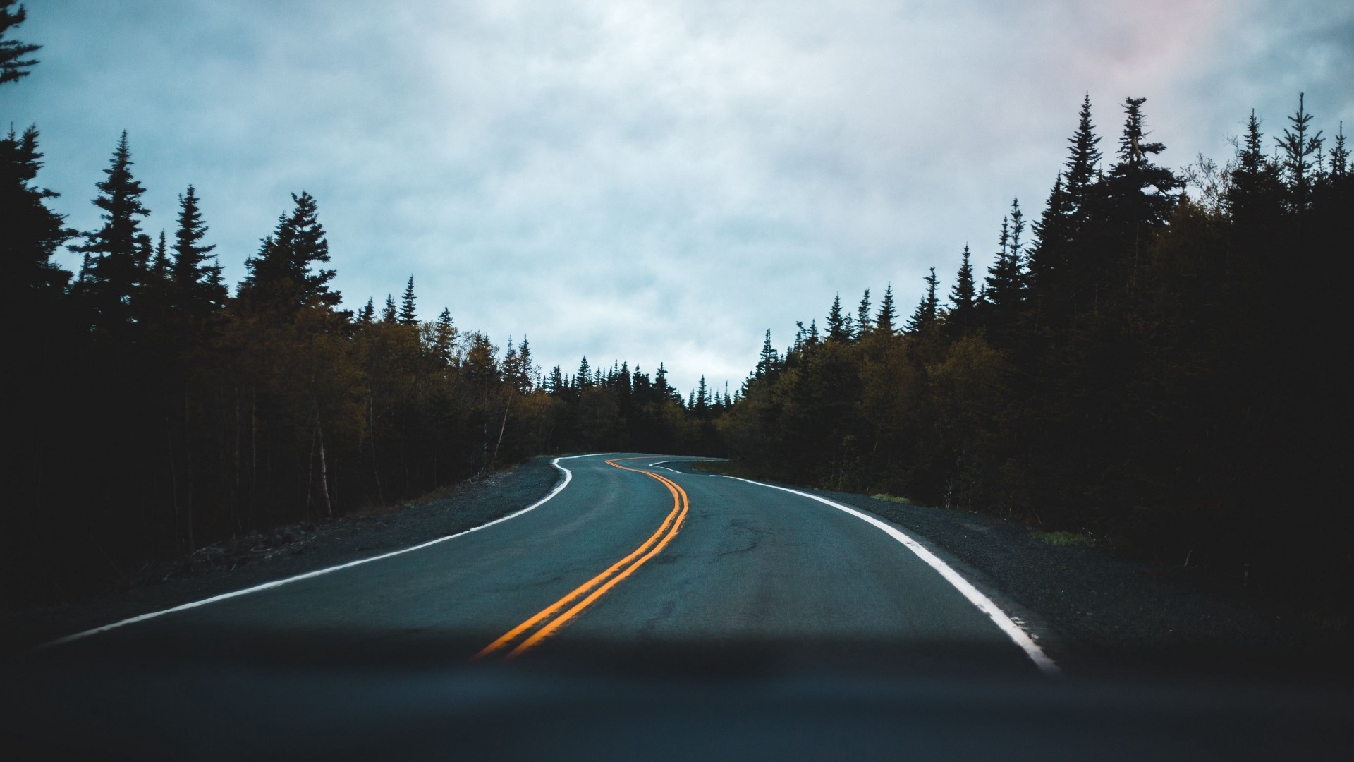 Winding road through a dark forest HD Wallpaper