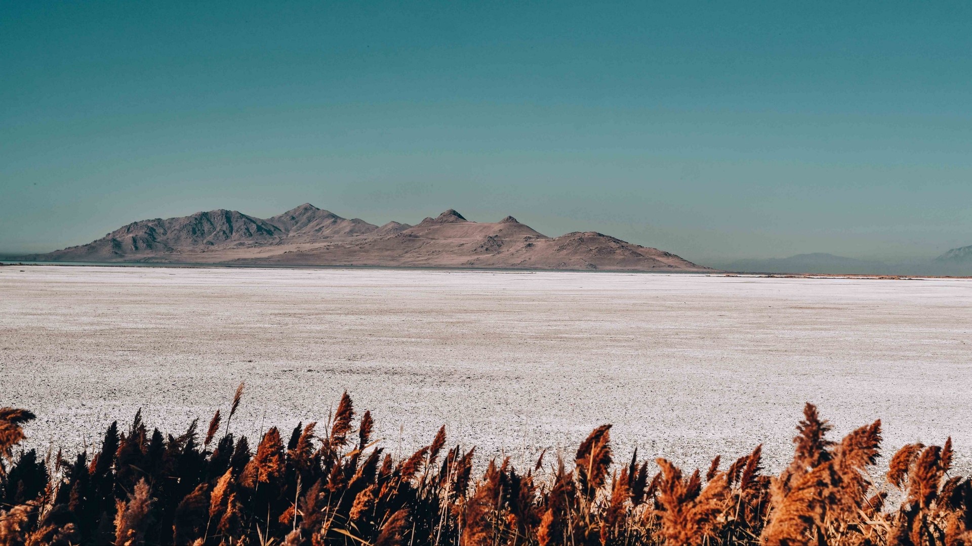 Mountains over a salt flat with reeds in the foreground HD Wallpaper