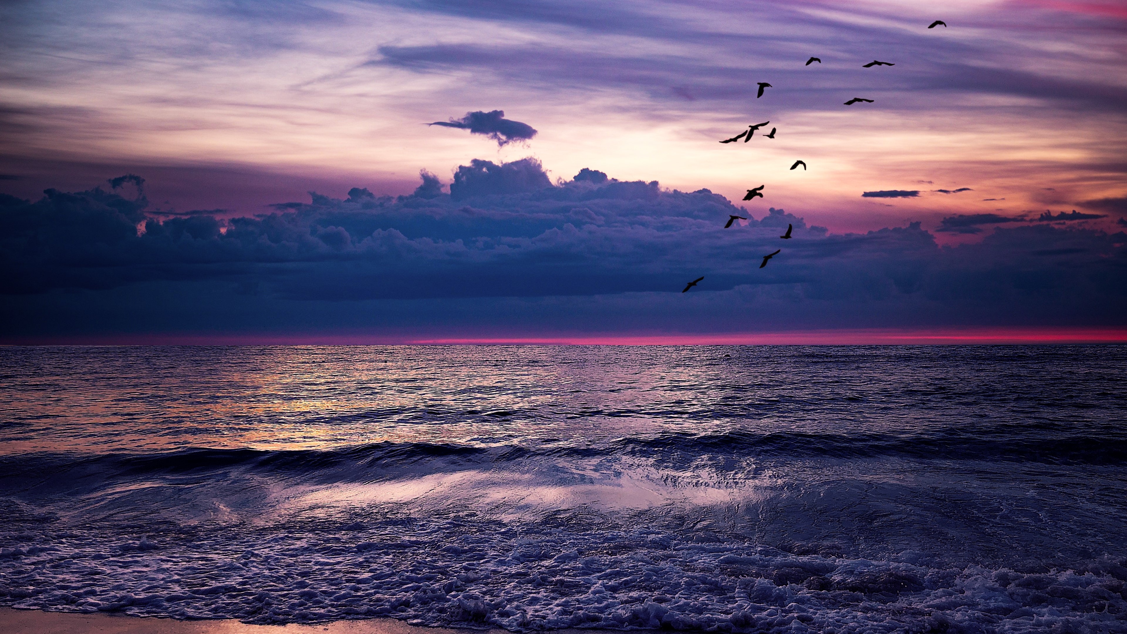 4K Sea Sunset with Birds HD Wallpaper