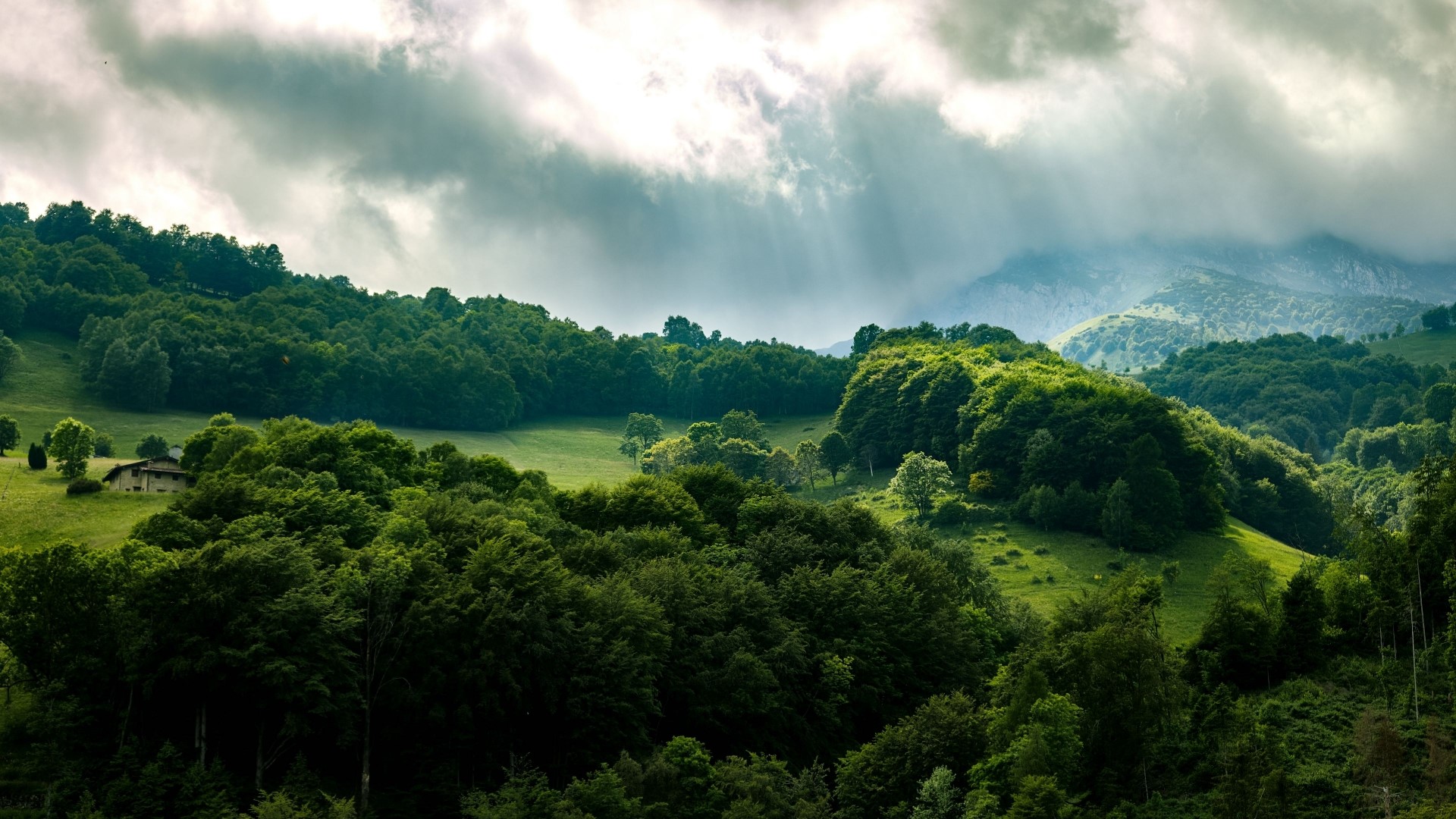 Sunlight filtering through clouds over a green forest and mountains HD Wallpaper