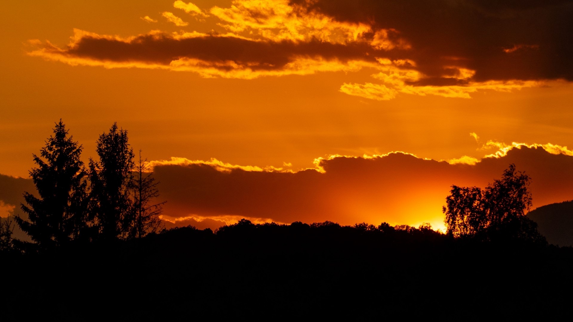Sunset over a silhouetted forest HD Wallpaper
