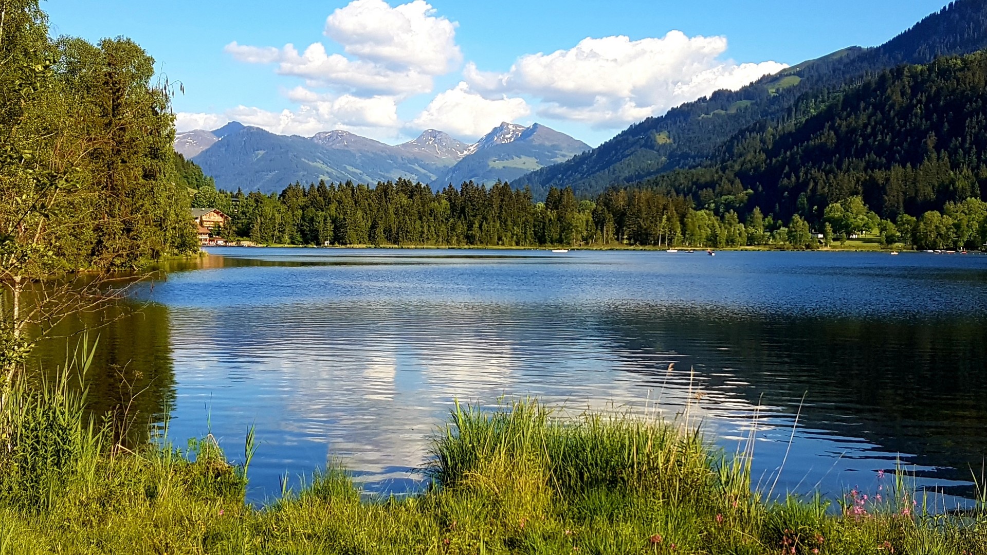 Lake with mountains and forest HD Wallpaper