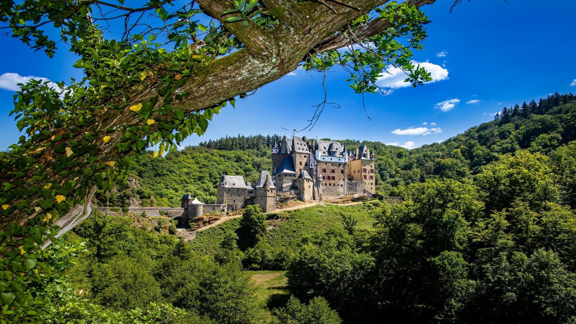 Eltz Castle in a Forest Landscape HD Wallpaper