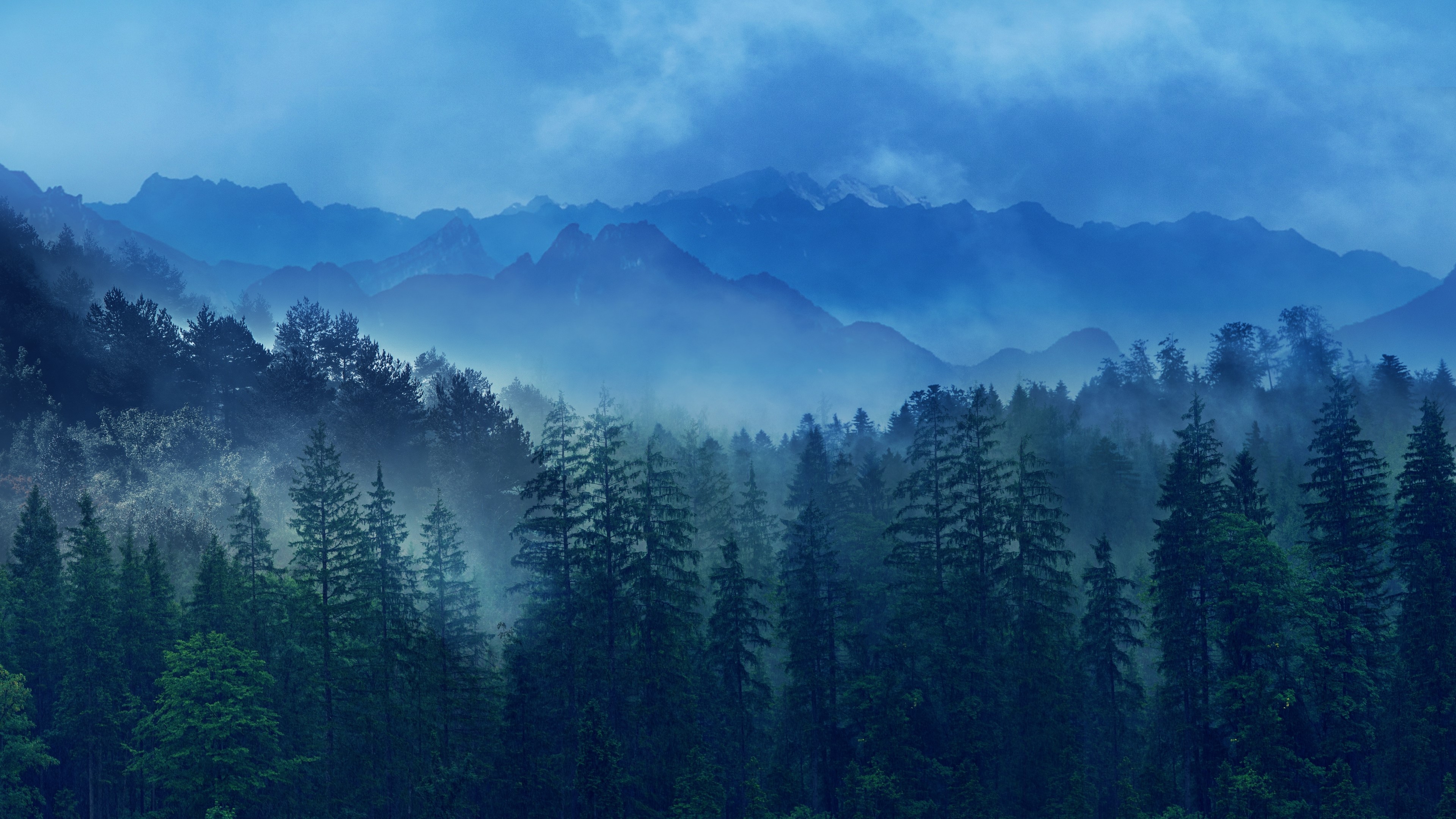 Misty Mountains and Forest Landscape HD Wallpaper