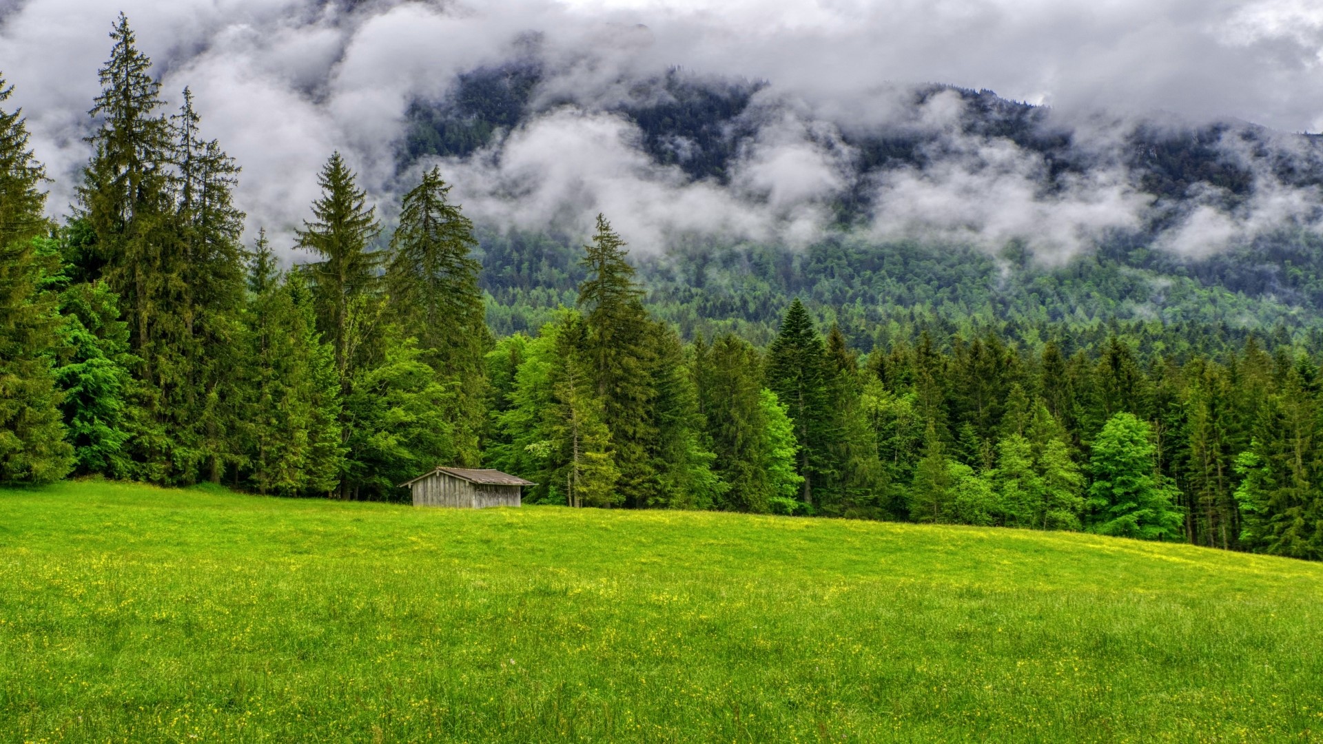 Wooden cabin in a green meadow with a forest and mountains HD Wallpaper