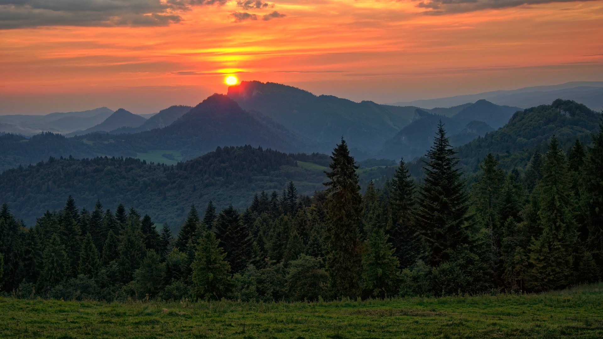 Sunset over mountains and forest HD Wallpaper