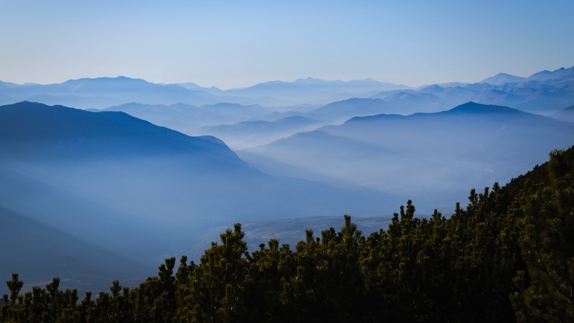 Misty mountain range with pine trees HD Wallpaper
