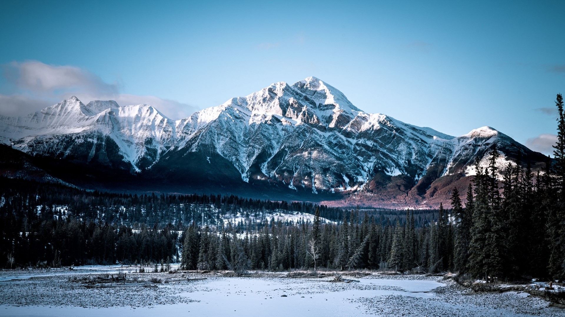 Snow-covered mountains and pine forest HD Wallpaper