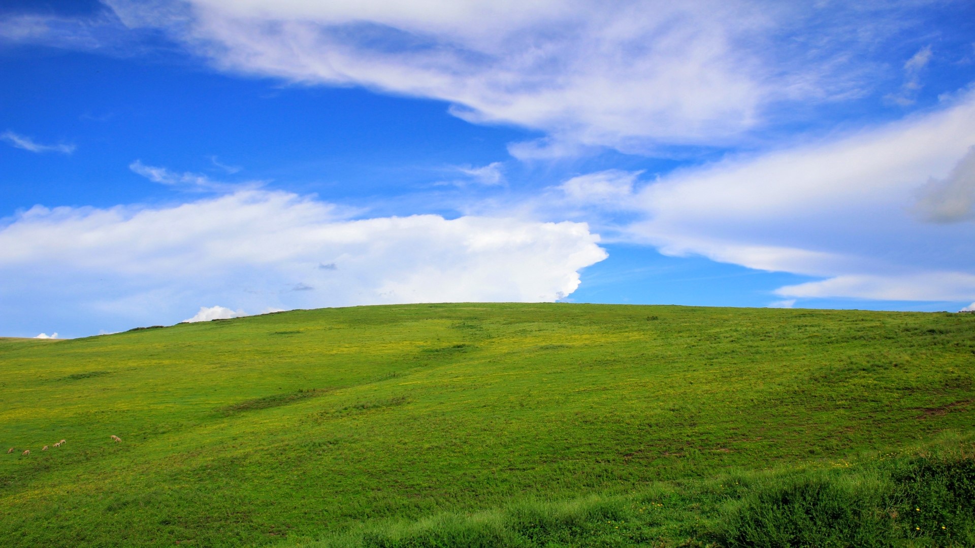 Green rolling hills under a blue sky with clouds HD Wallpaper