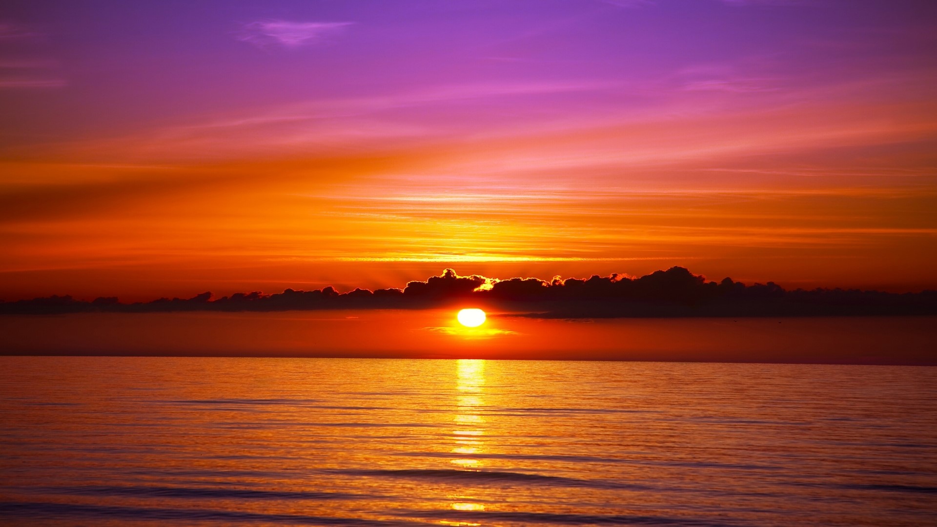 Sunset over the ocean with purple and orange sky HD Wallpaper