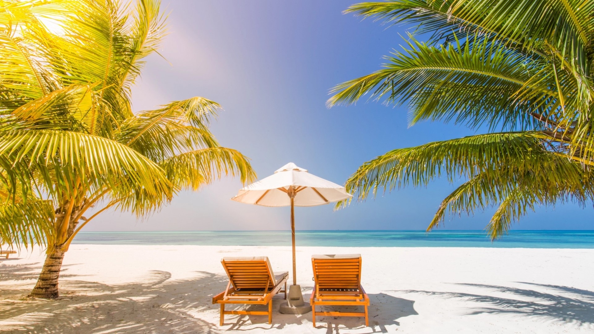 Beach with palm trees and lounge chairs HD Wallpaper