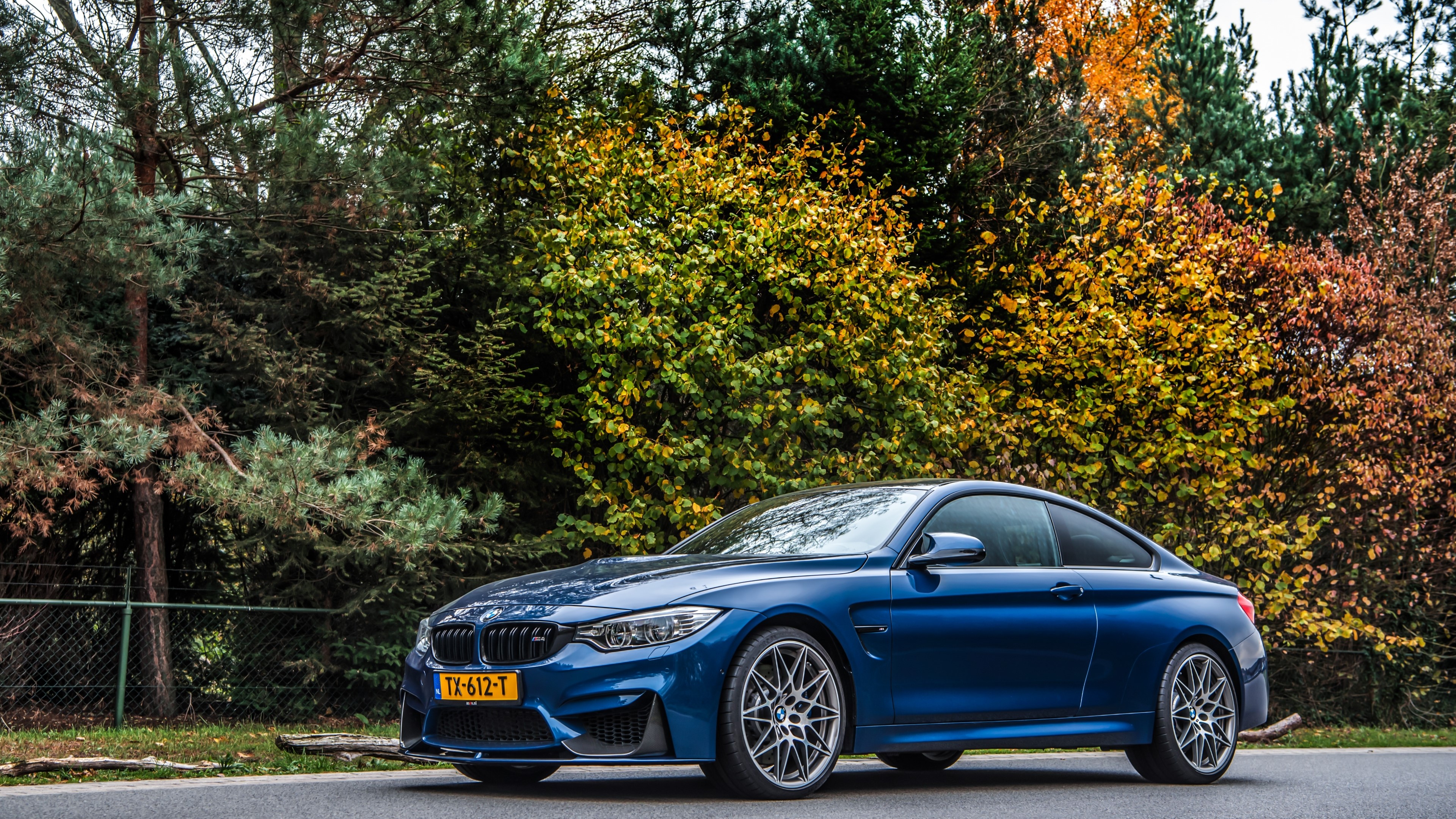 4K BMW M4 Competition HD Wallpaper