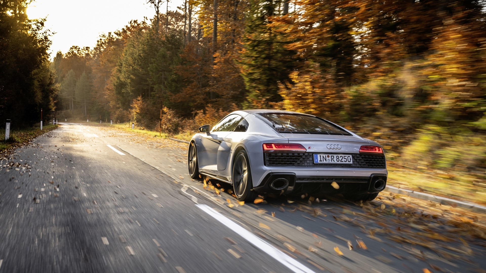 Audi R8 driving on a road in autumn HD Wallpaper