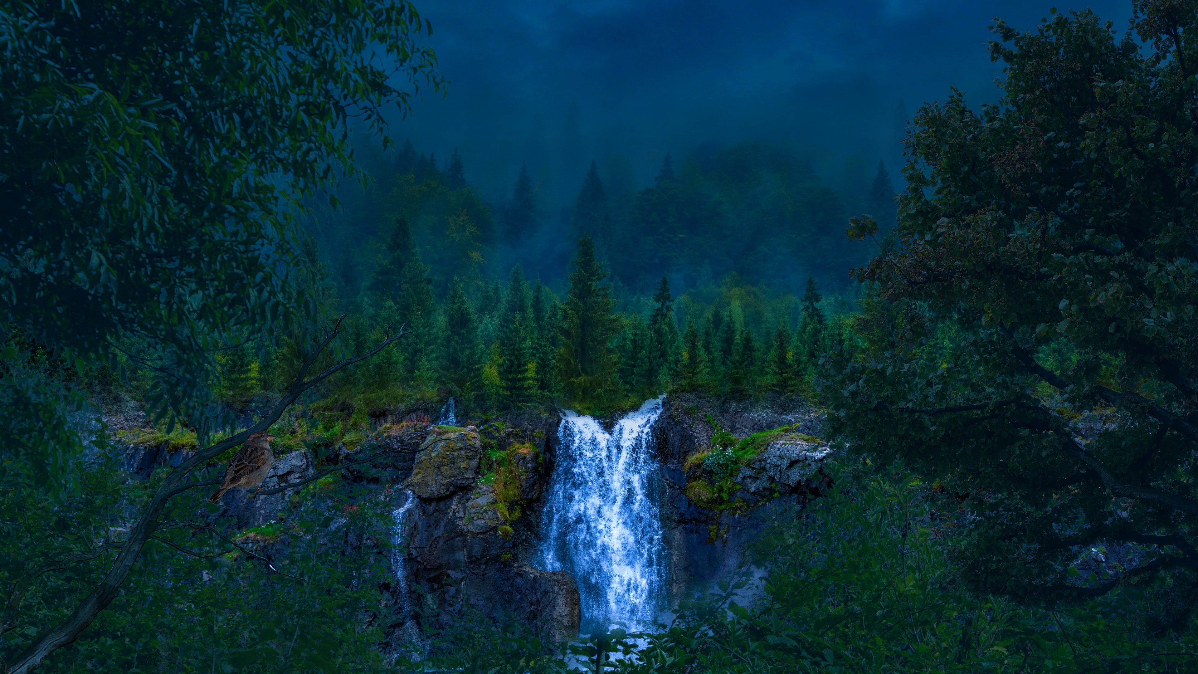 4K Nature Waterfall in Forest HD Wallpaper