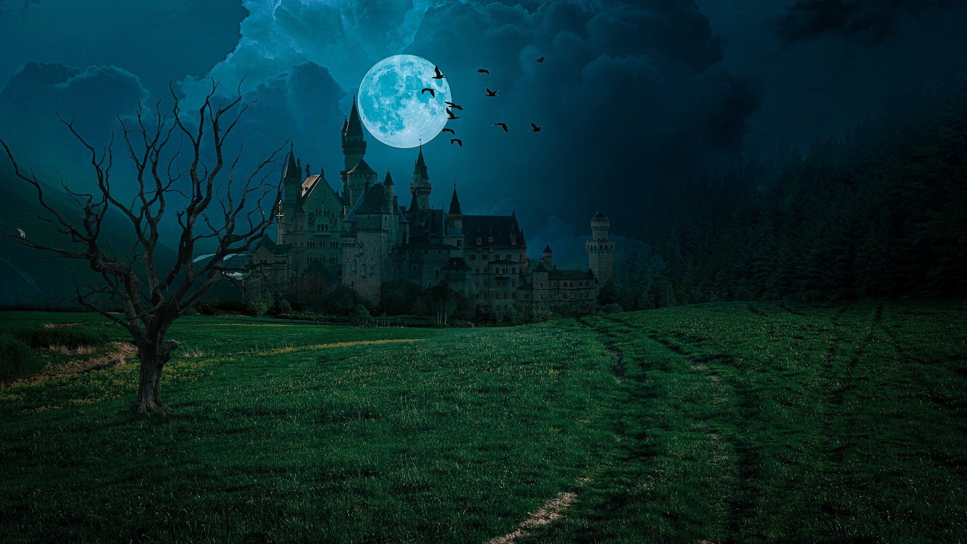 Castle under a full moon with birds flying HD Wallpaper