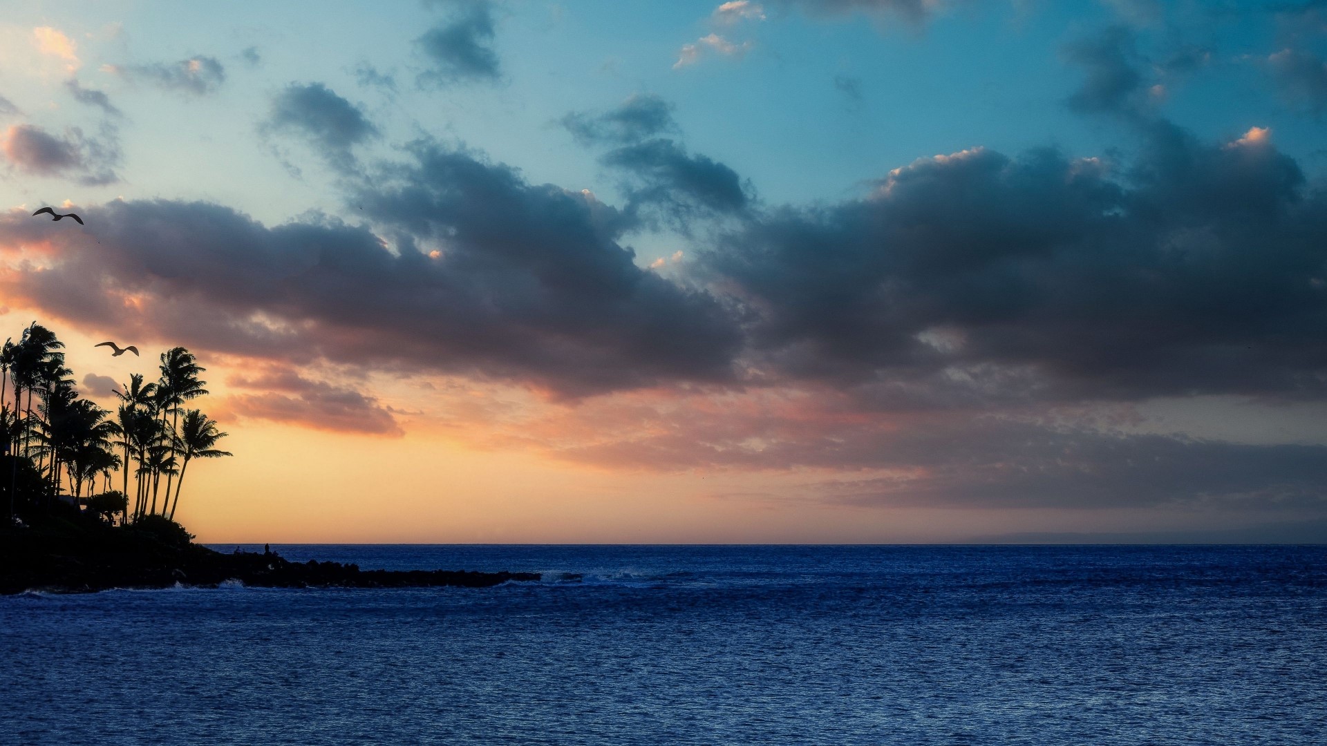 Sunset over the ocean with palm trees and birds HD Wallpaper