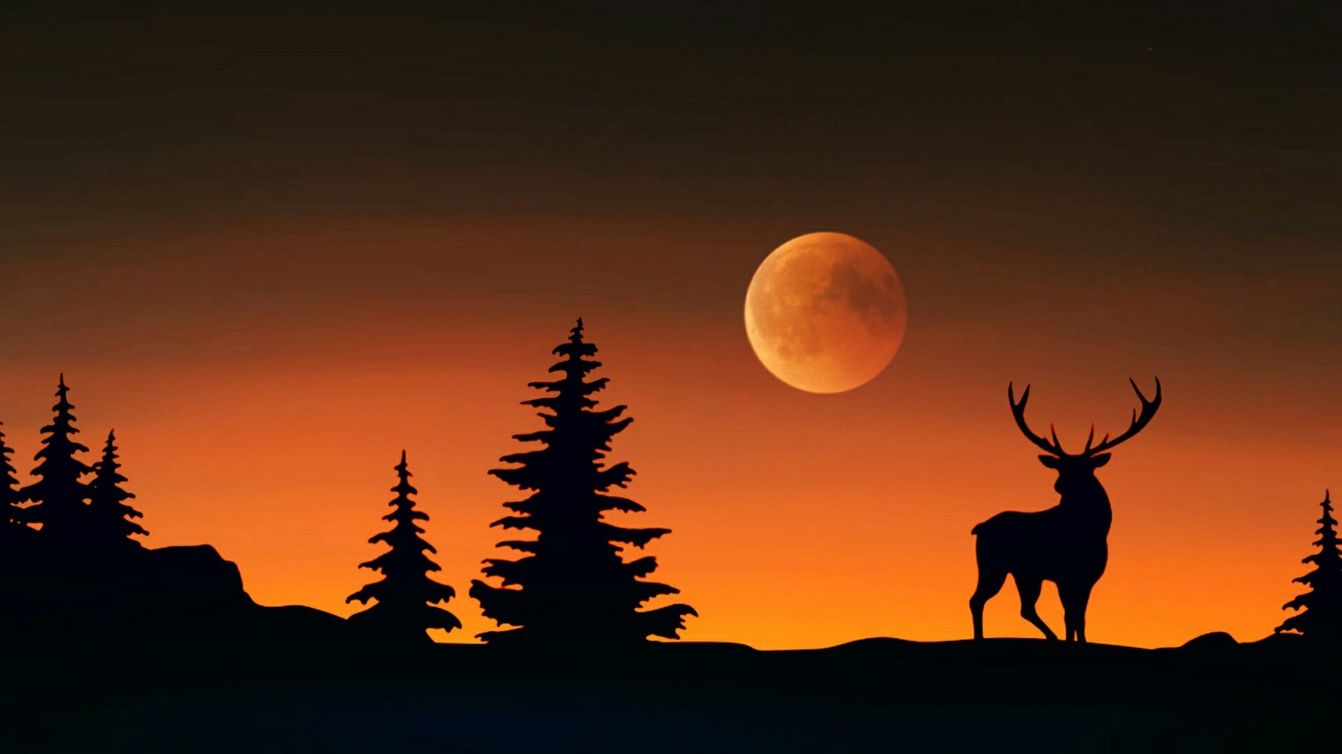 Deer and moon over forest at sunset HD Wallpaper